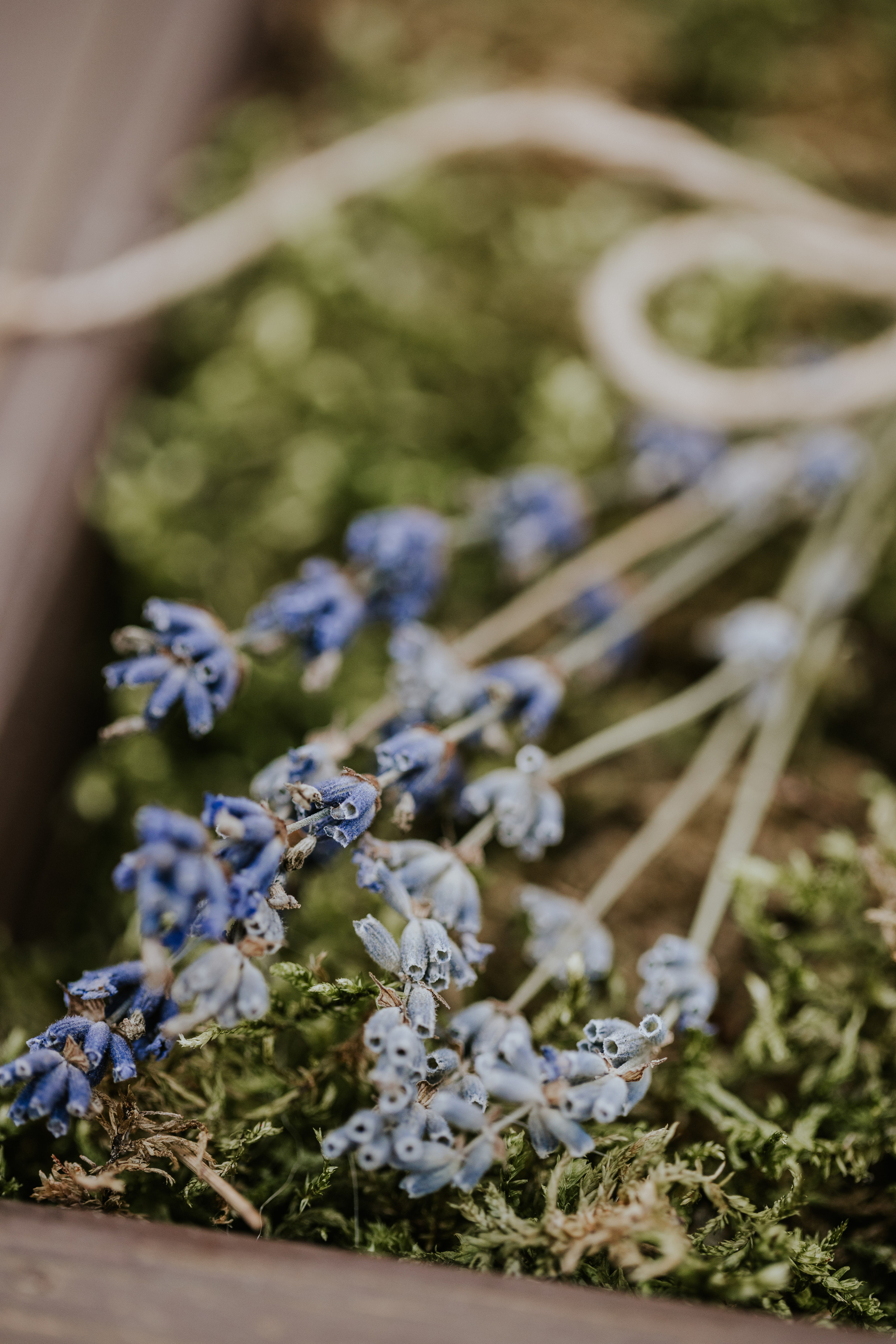 Artem & Anya. Wedding Photographer in Florence, Pisa & Tuscany | Candid & Elegant Photography in Italy