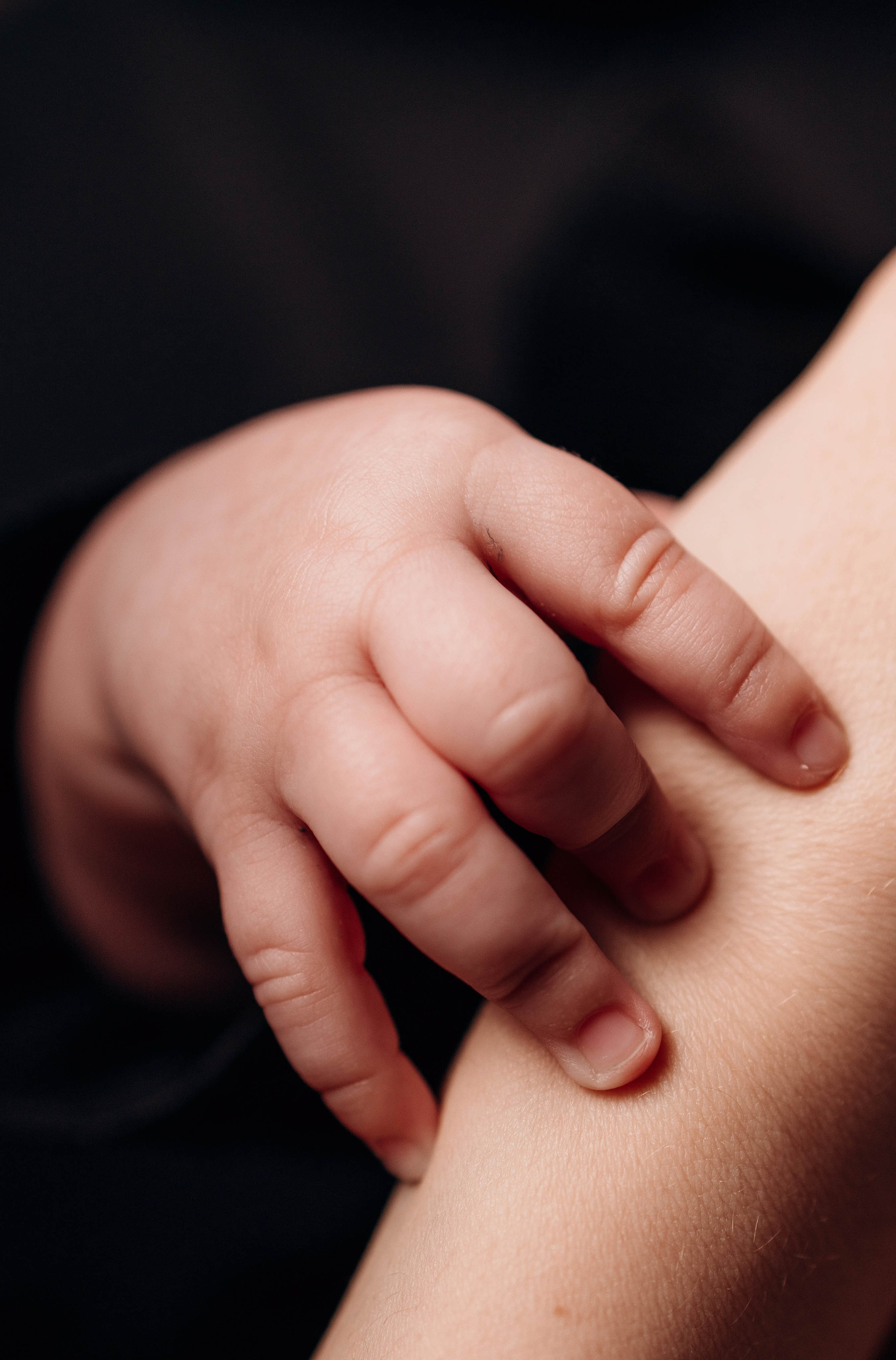 Олег, Виктория и Дарья. Свадебный фотограф Измаил, Констанца, Бухарест, Галац, Браила Julia Dickinson