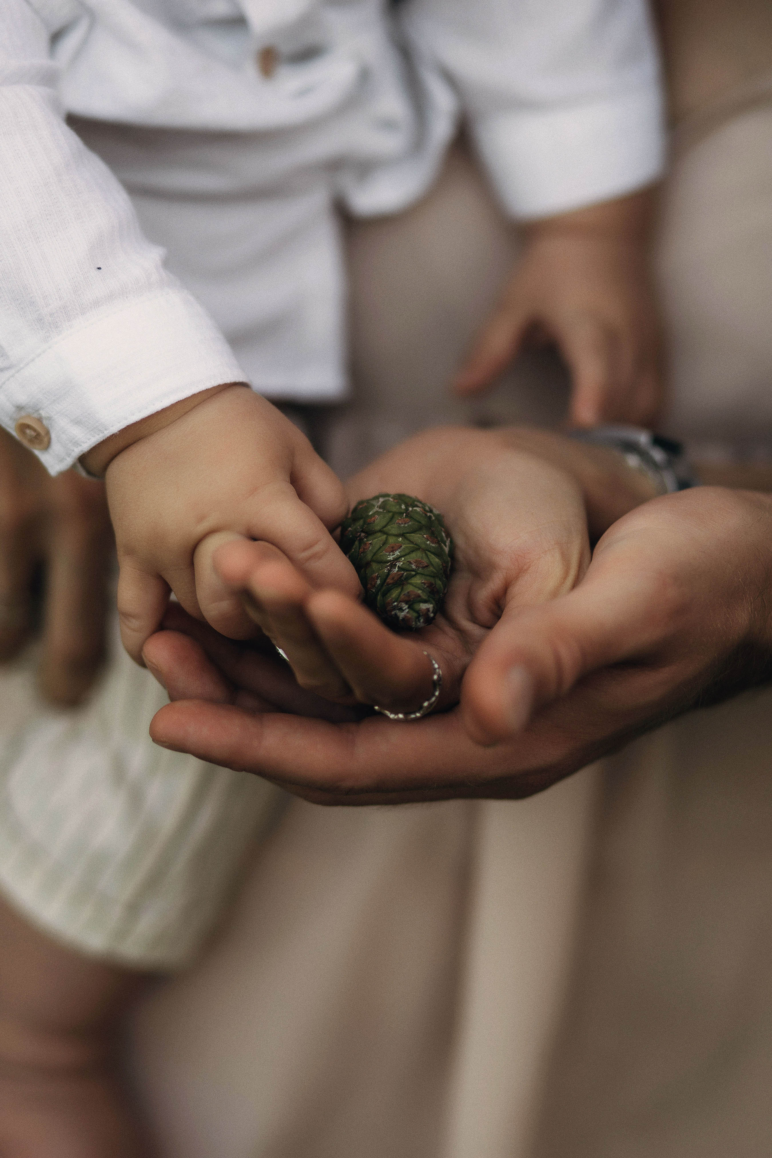 Алексей, Таисия и Герман. Свадебный фотограф Измаил, Констанца, Бухарест, Галац, Браила Julia Dickinson