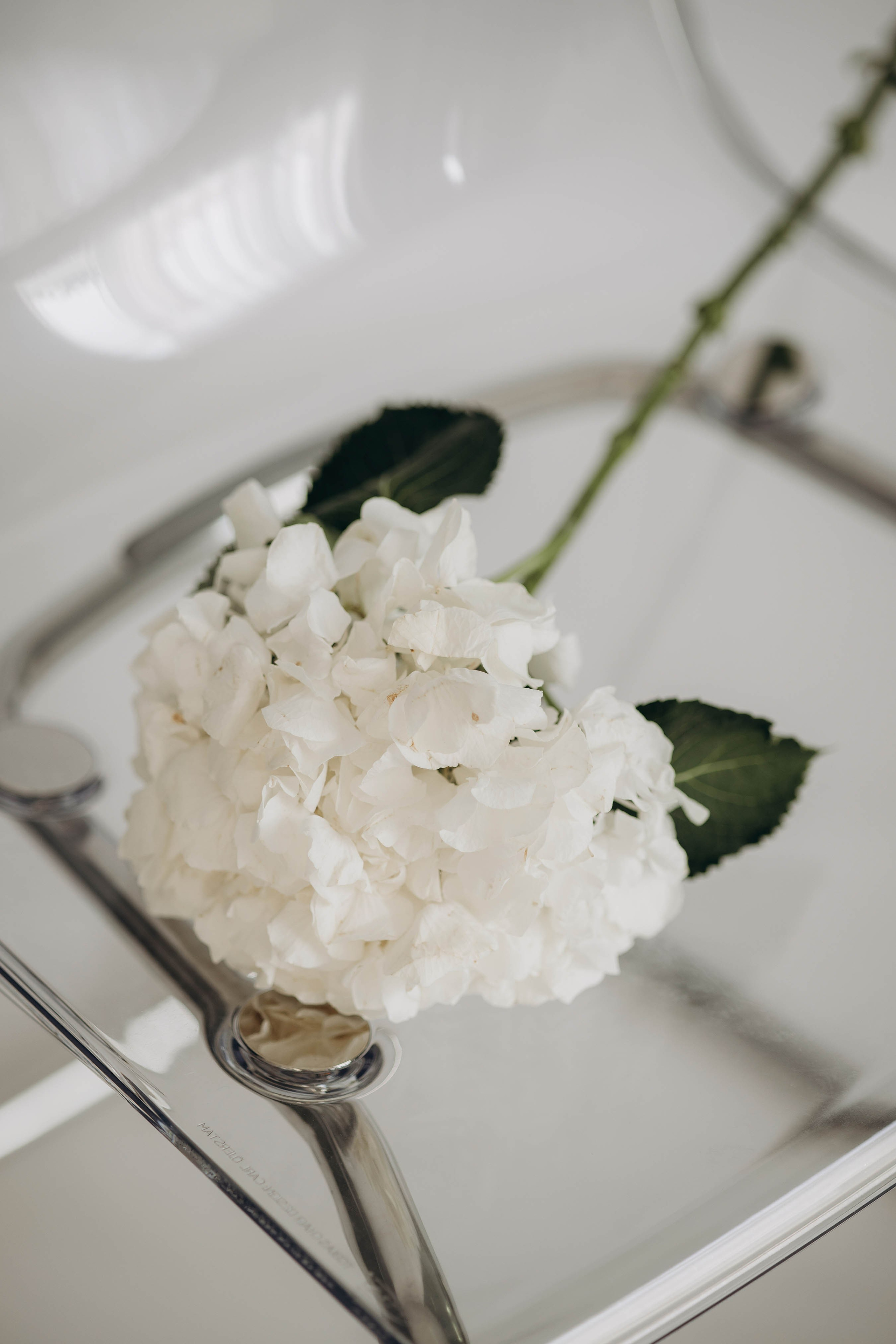 Фотосессия в Измаиле для Елены. Свадебный фотограф Измаил, Констанца, Бухарест, Галац, Браила Julia Dickinson