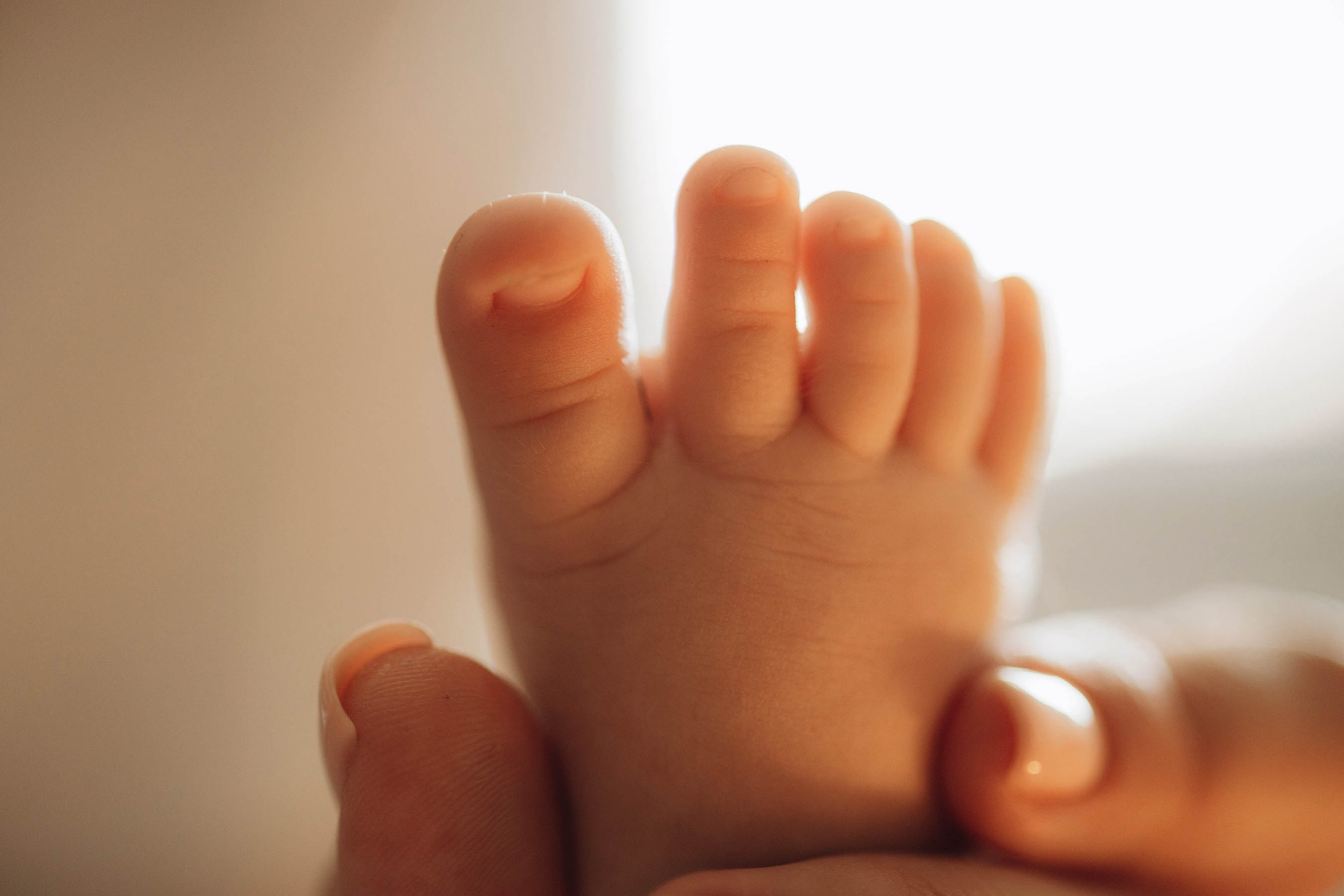 Димитра, Ирис и Леонидас. Свадебный фотограф Измаил, Констанца, Бухарест, Галац, Браила Julia Dickinson