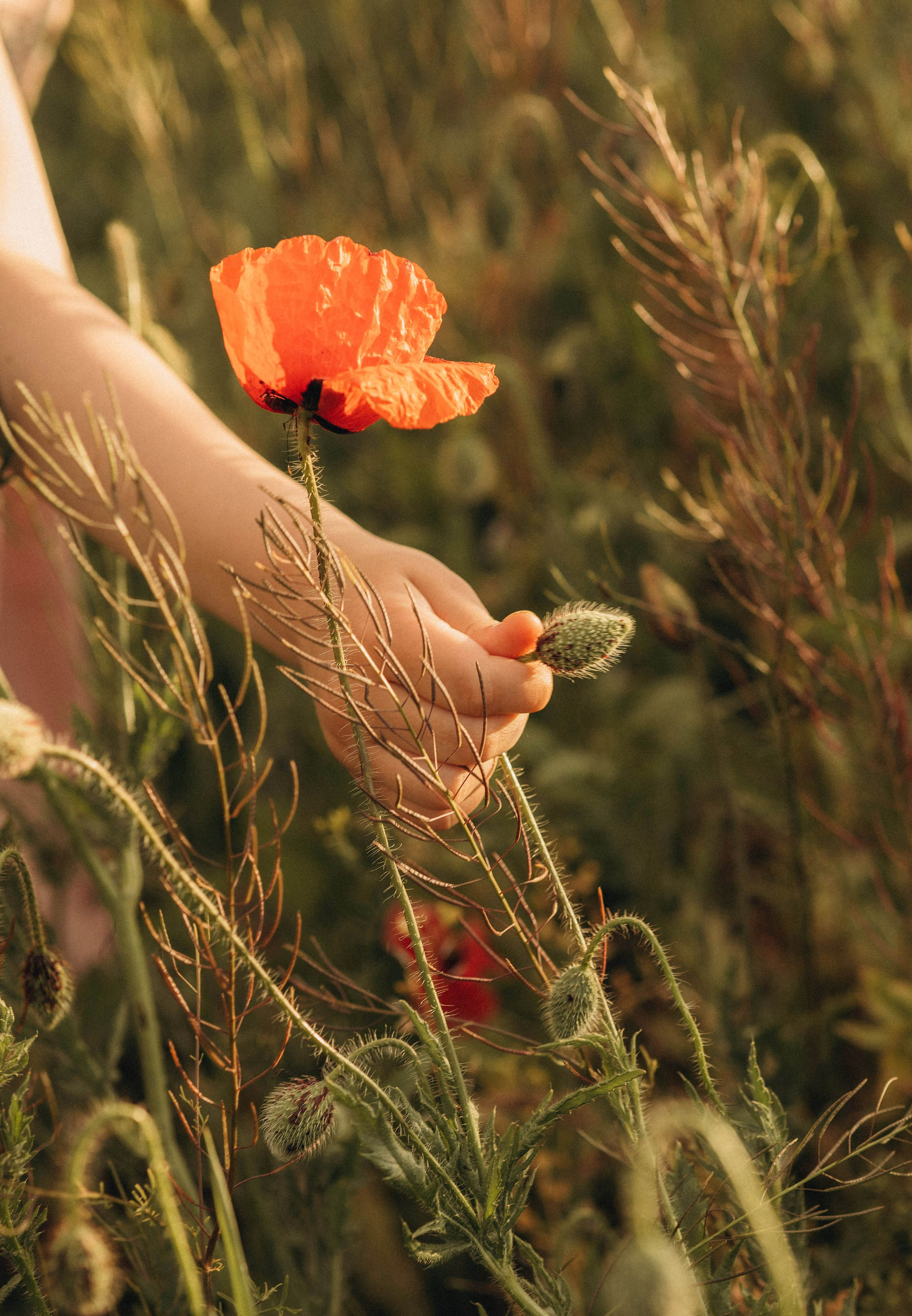 Юрий, Алёна, Майя и Антонина. Свадебный фотограф Измаил, Констанца, Бухарест, Галац, Браила Julia Dickinson
