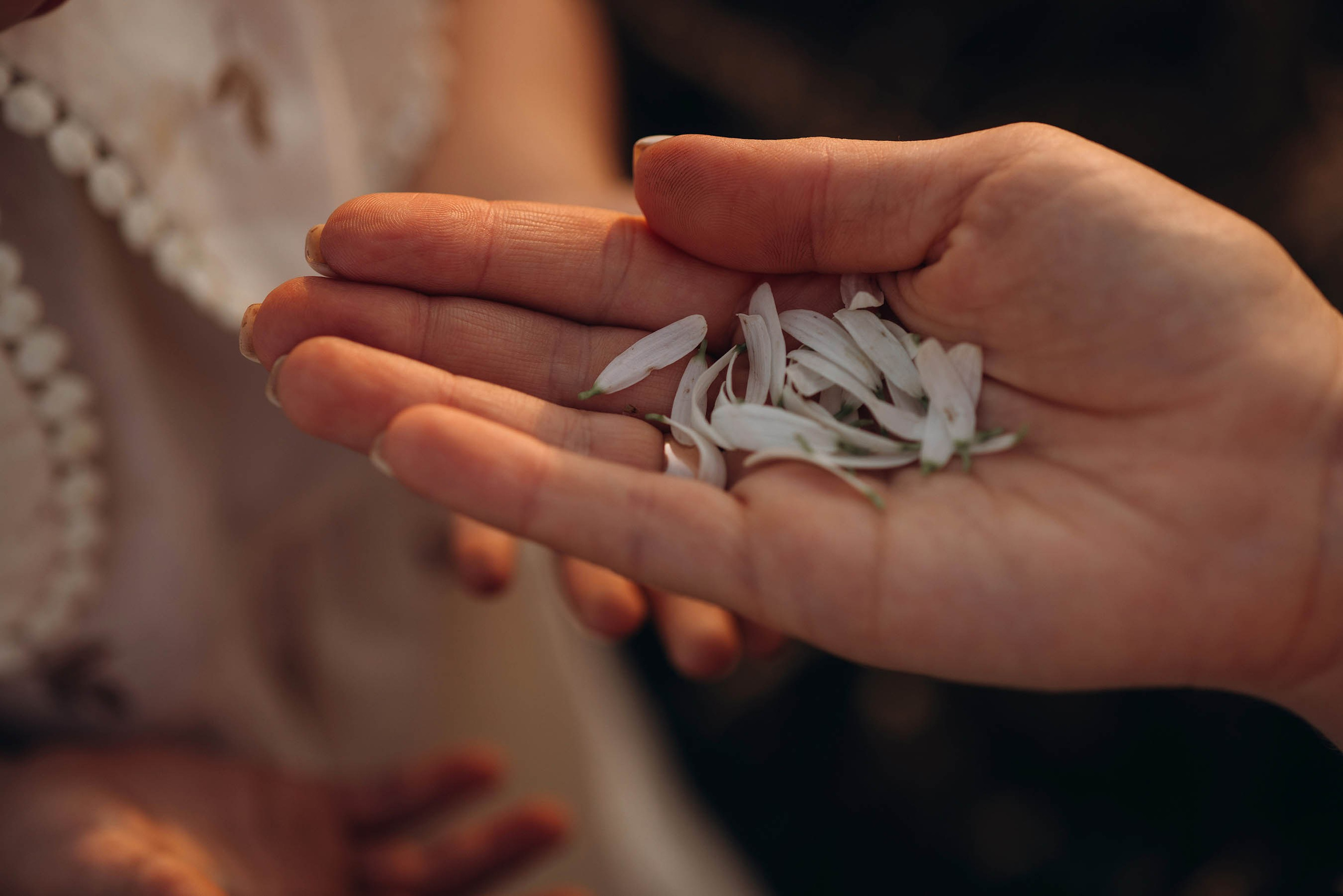 Дмитрий, Алена и Милана. Свадебный фотограф Измаил, Констанца, Бухарест, Галац, Браила Julia Dickinson