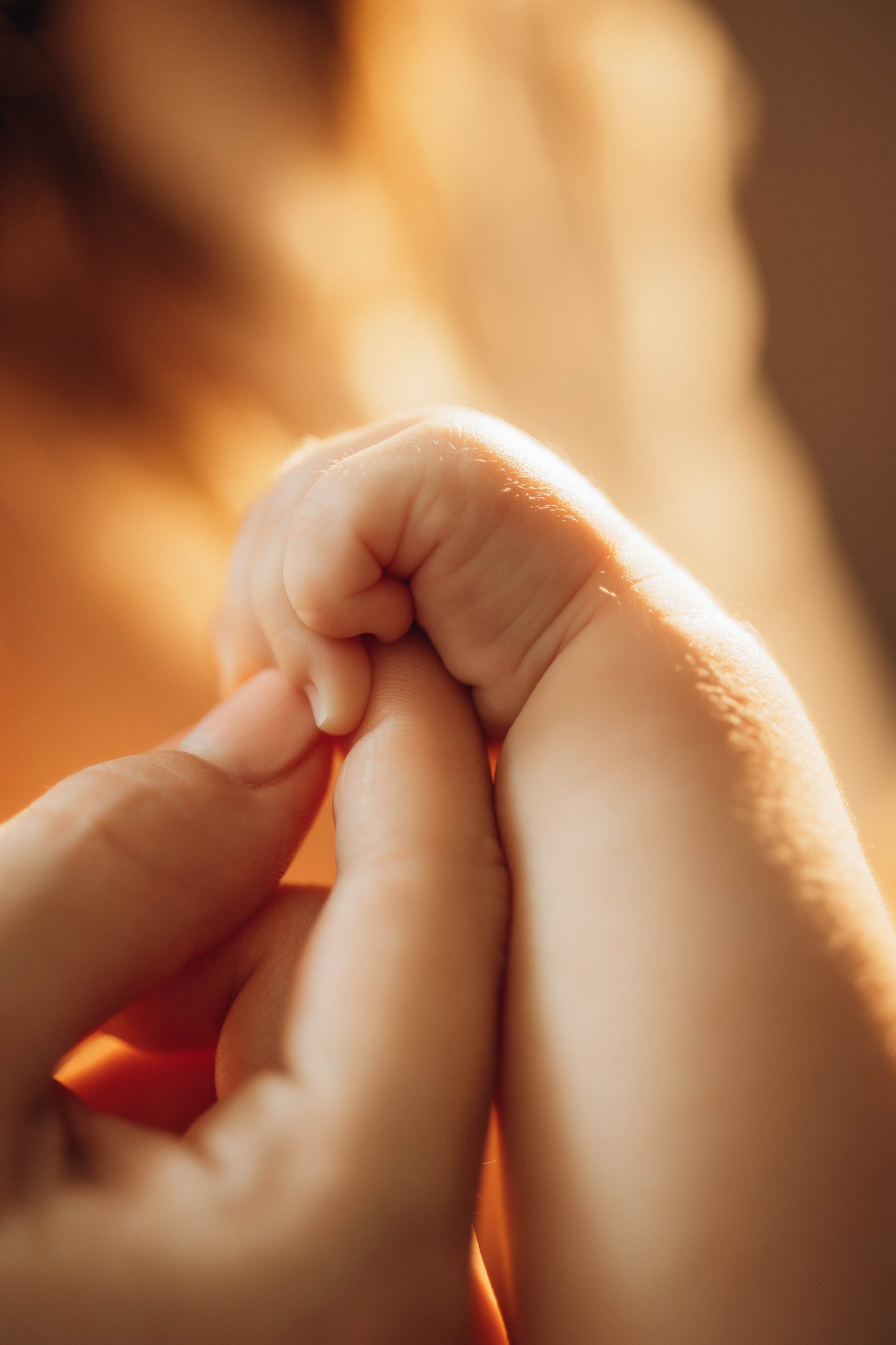 Димитра, Ирис и Леонидас. Свадебный фотограф Измаил, Констанца, Бухарест, Галац, Браила Julia Dickinson