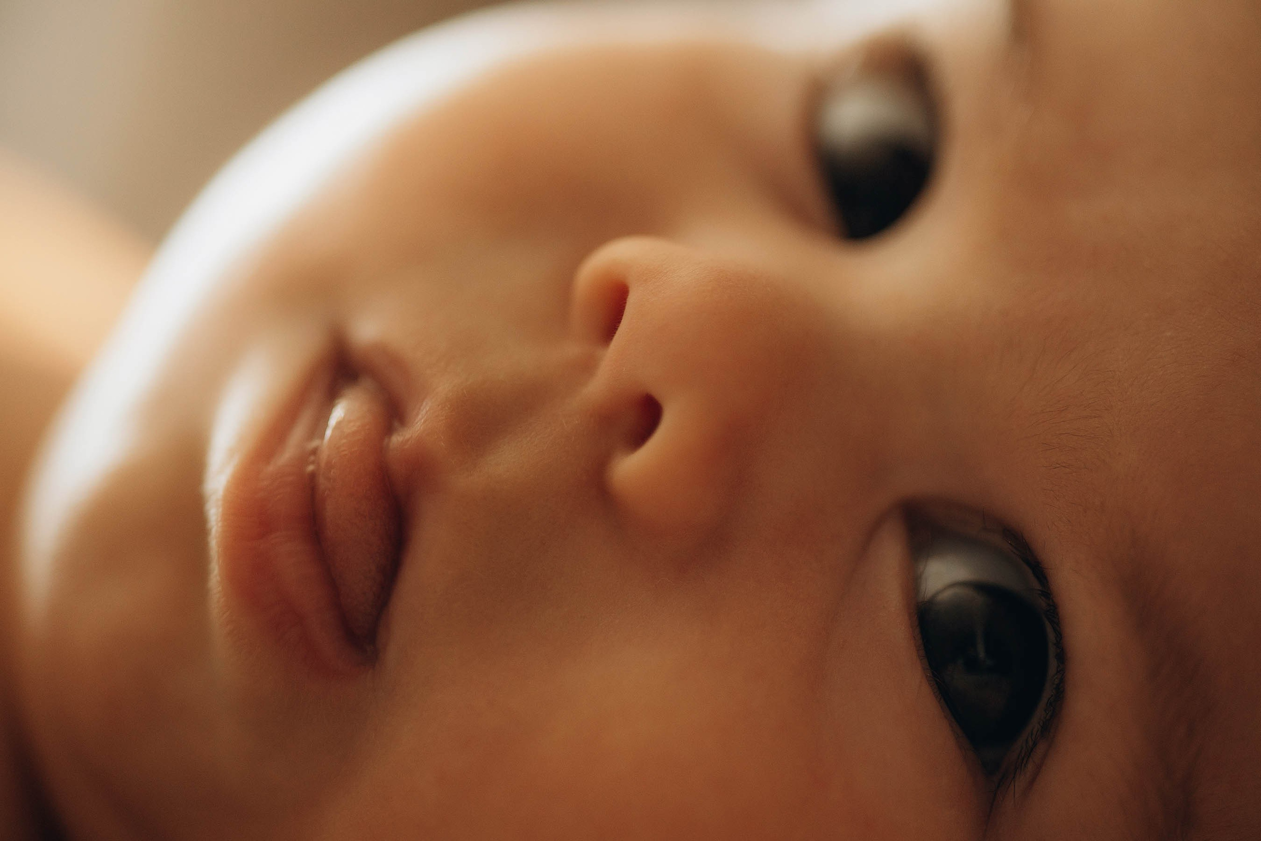 Димитра, Ирис и Леонидас. Свадебный фотограф Измаил, Констанца, Бухарест, Галац, Браила Julia Dickinson