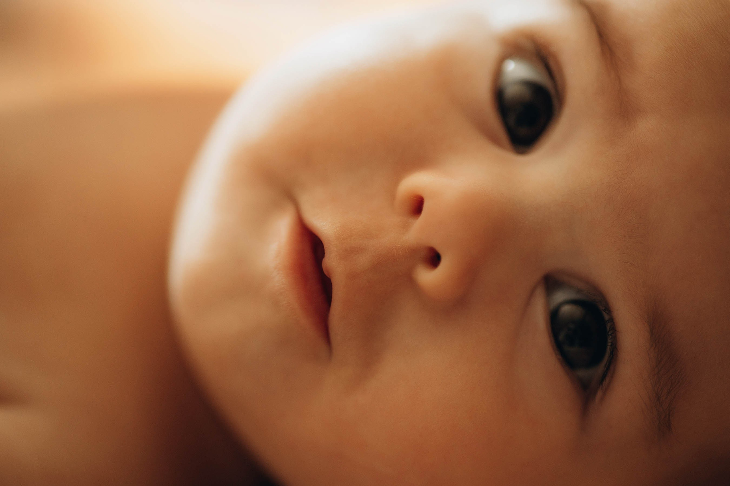 Димитра, Ирис и Леонидас. Свадебный фотограф Измаил, Констанца, Бухарест, Галац, Браила Julia Dickinson