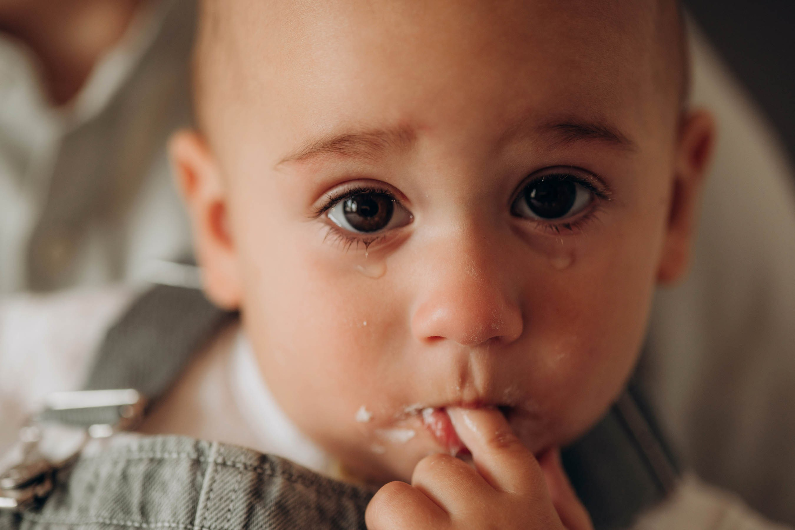 Дилан, Диана и Лиам. Свадебный фотограф Измаил, Констанца, Бухарест, Галац, Браила Julia Dickinson