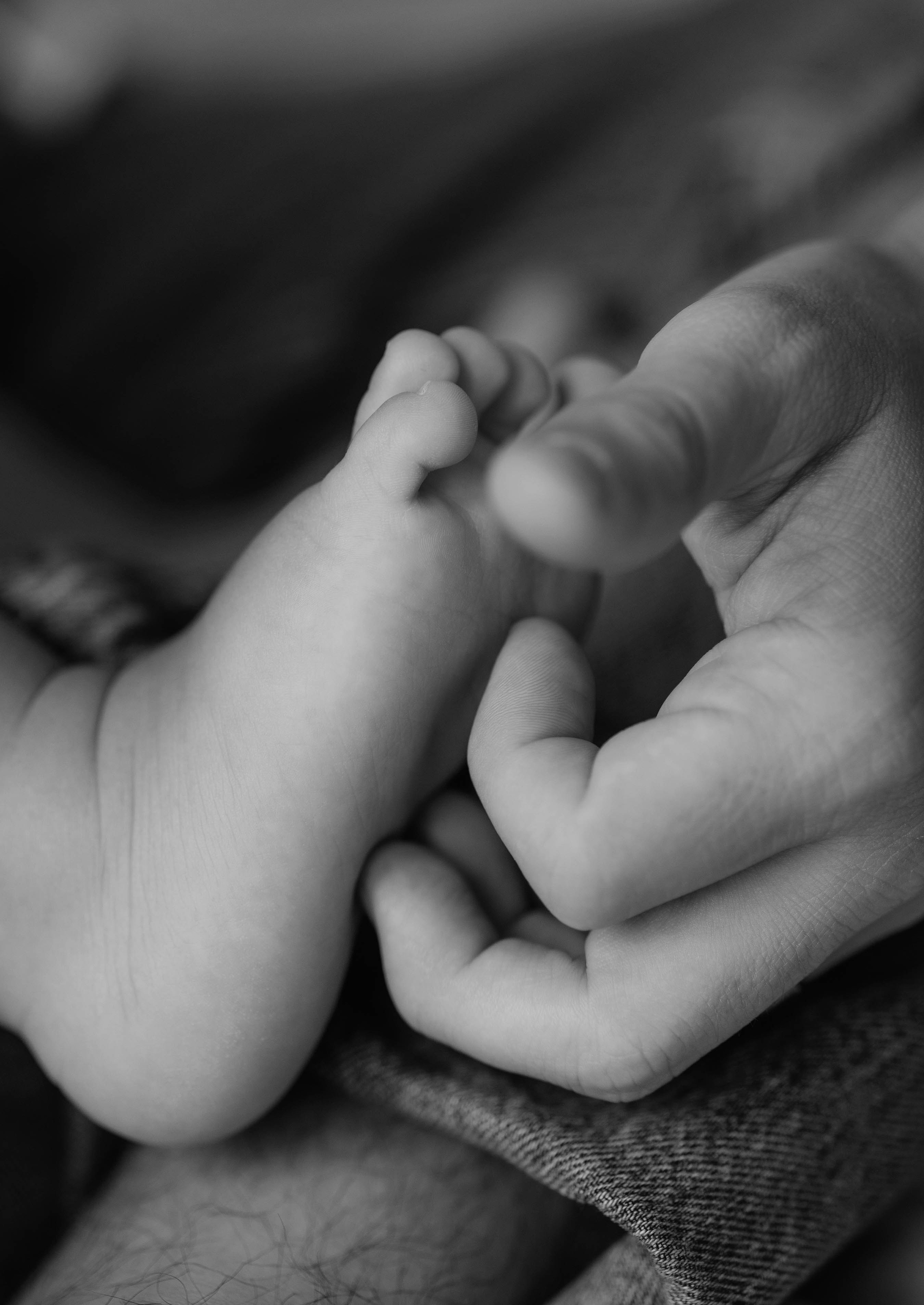 Дилан, Диана и Лиам. Свадебный фотограф Измаил, Констанца, Бухарест, Галац, Браила Julia Dickinson