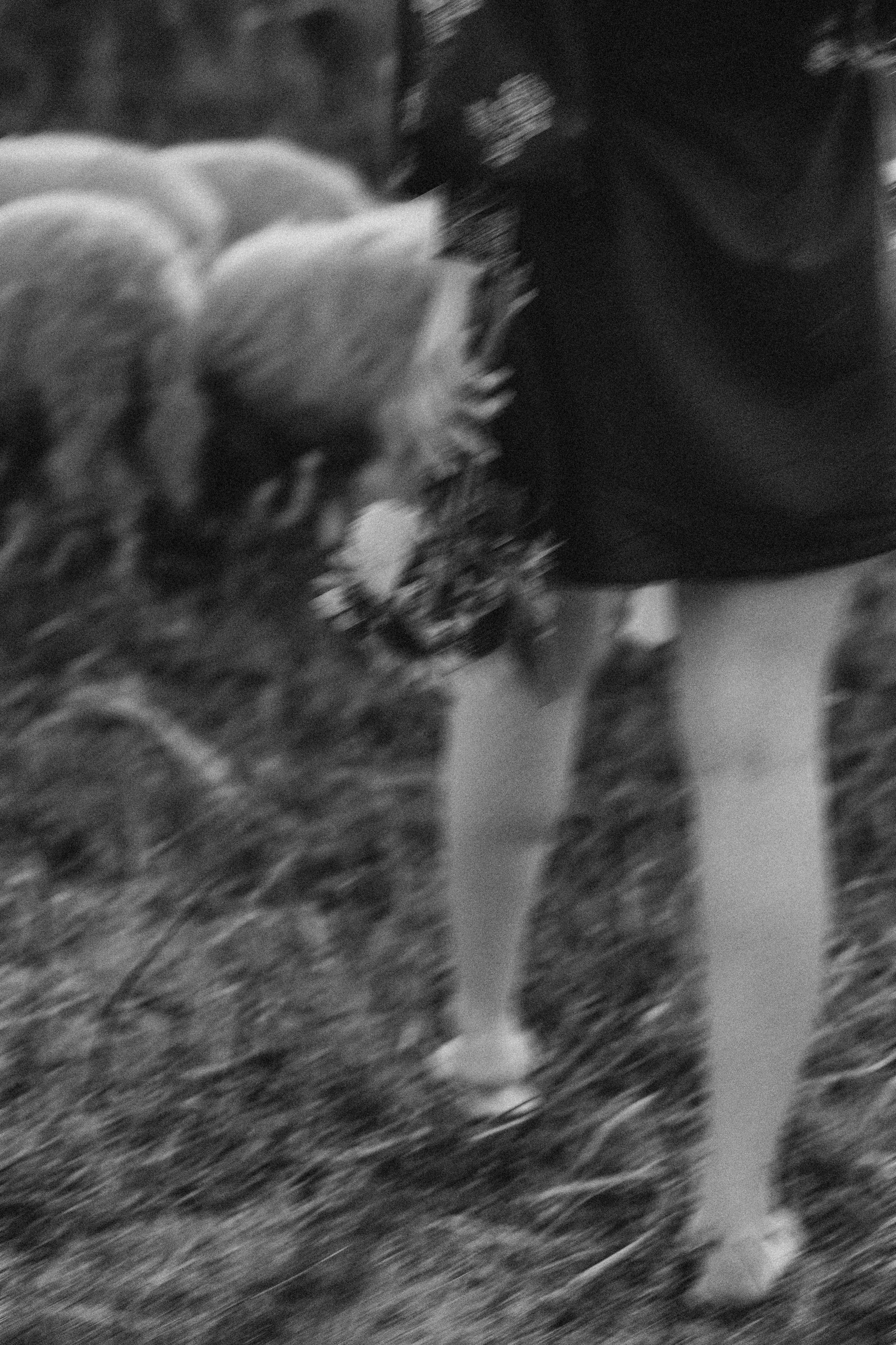 Инесса. Свадебный фотограф Измаил, Констанца, Бухарест, Галац, Браила Julia Dickinson