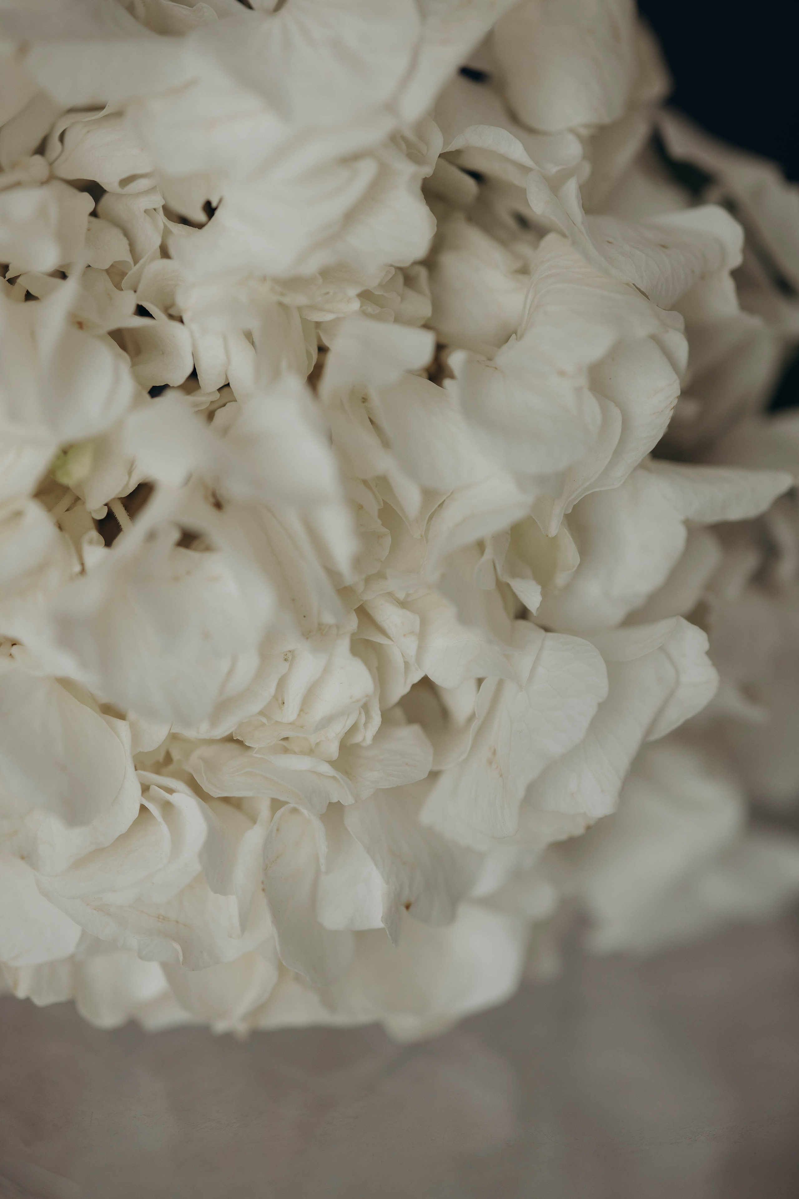 Фотосессия в Измаиле для Елены. Свадебный фотограф Измаил, Констанца, Бухарест, Галац, Браила Julia Dickinson