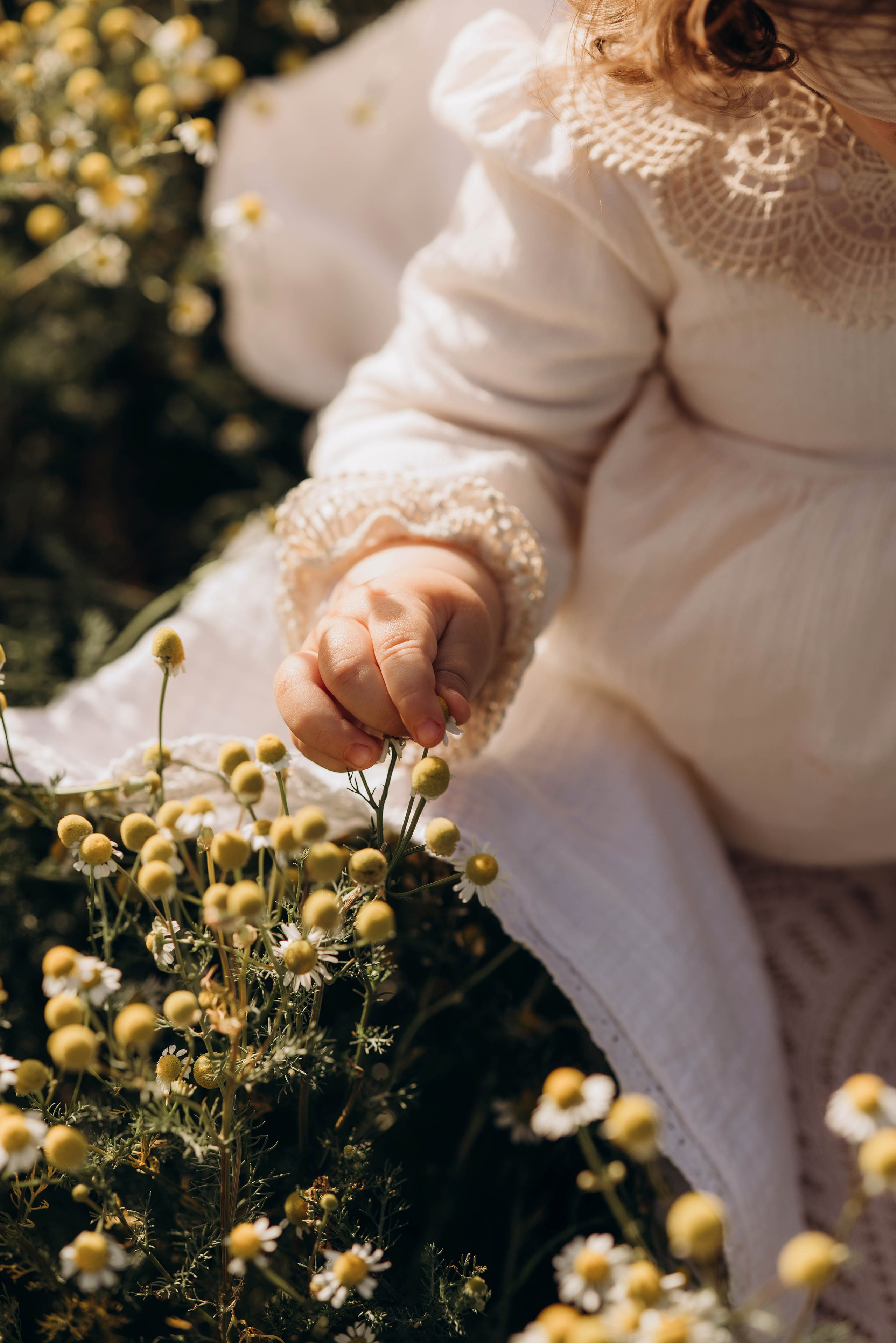 Кристина и Виорика. Свадебный фотограф Измаил, Констанца, Бухарест, Галац, Браила Julia Dickinson