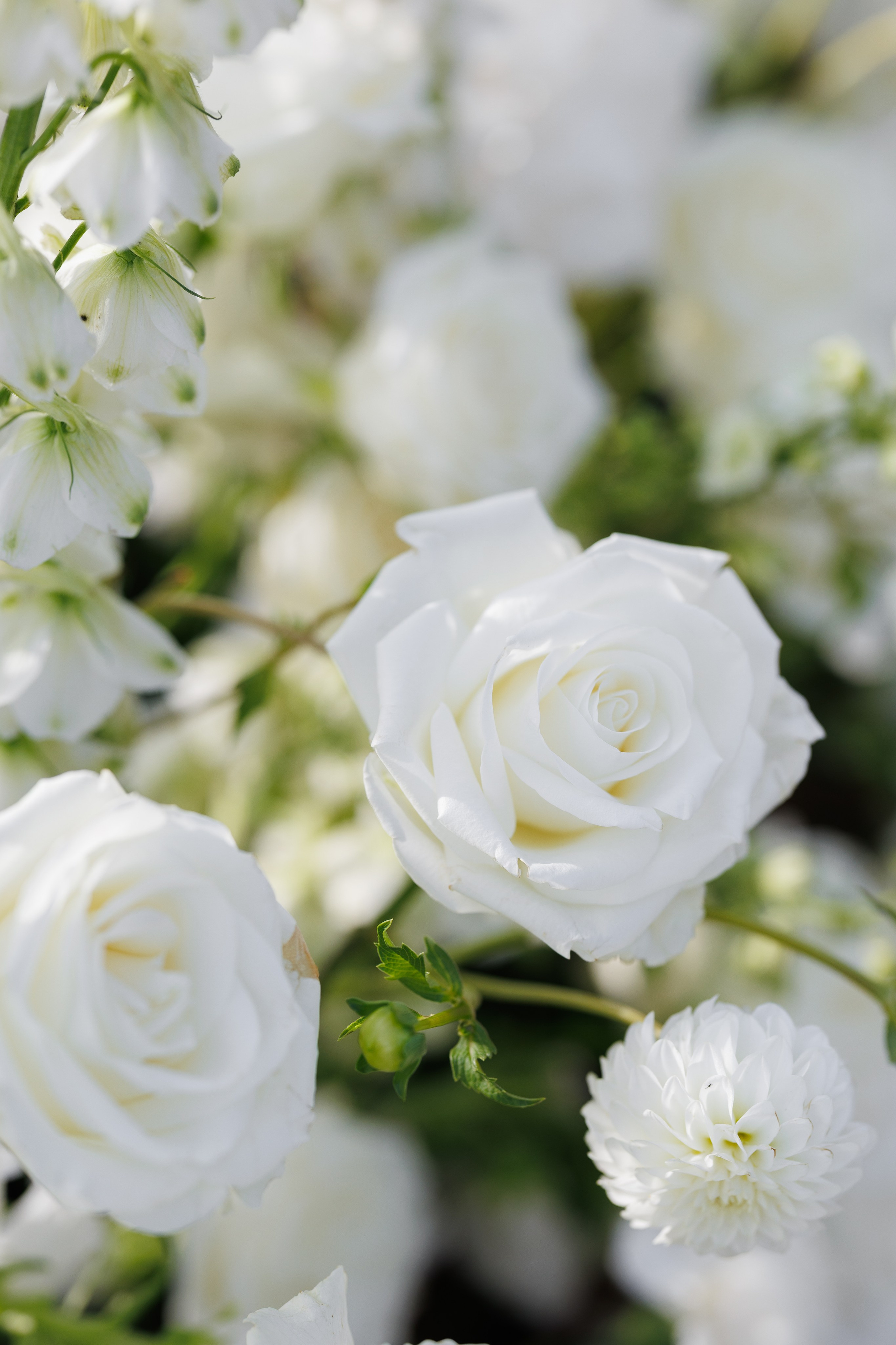 Julia & Max (Florence, Castello Di Cassole). Wedding photographer Osokin Evgeniy