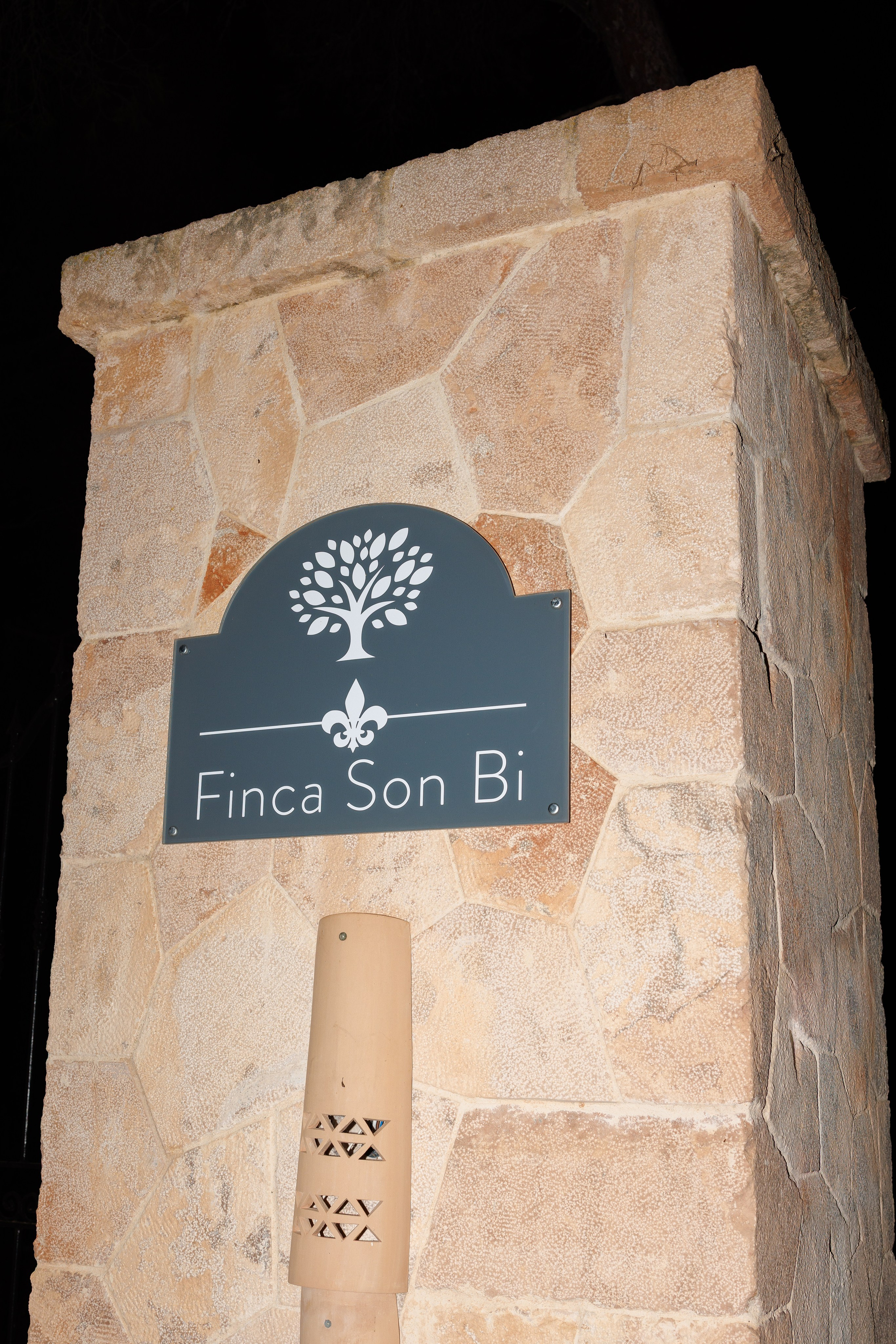 Valentina & Heinz (Palma de Mallorca, Finca Son Bi). Wedding photographer Osokin Evgeniy