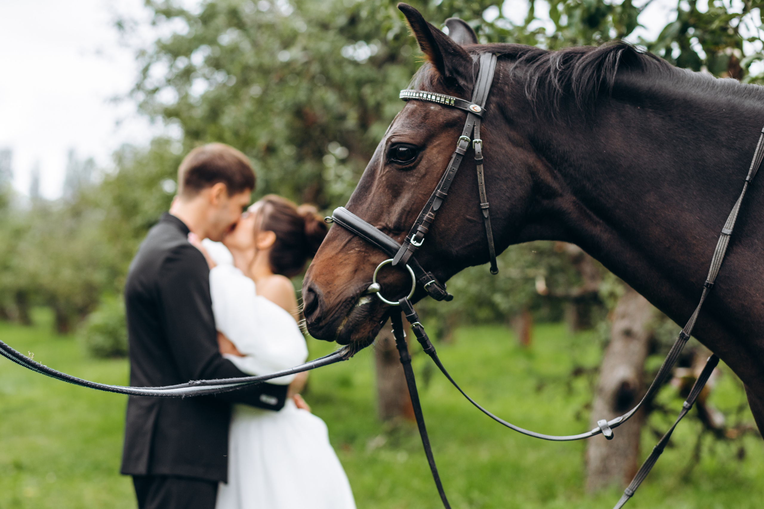 Vita & Rail. Wedding photographer Osokin Evgeniy