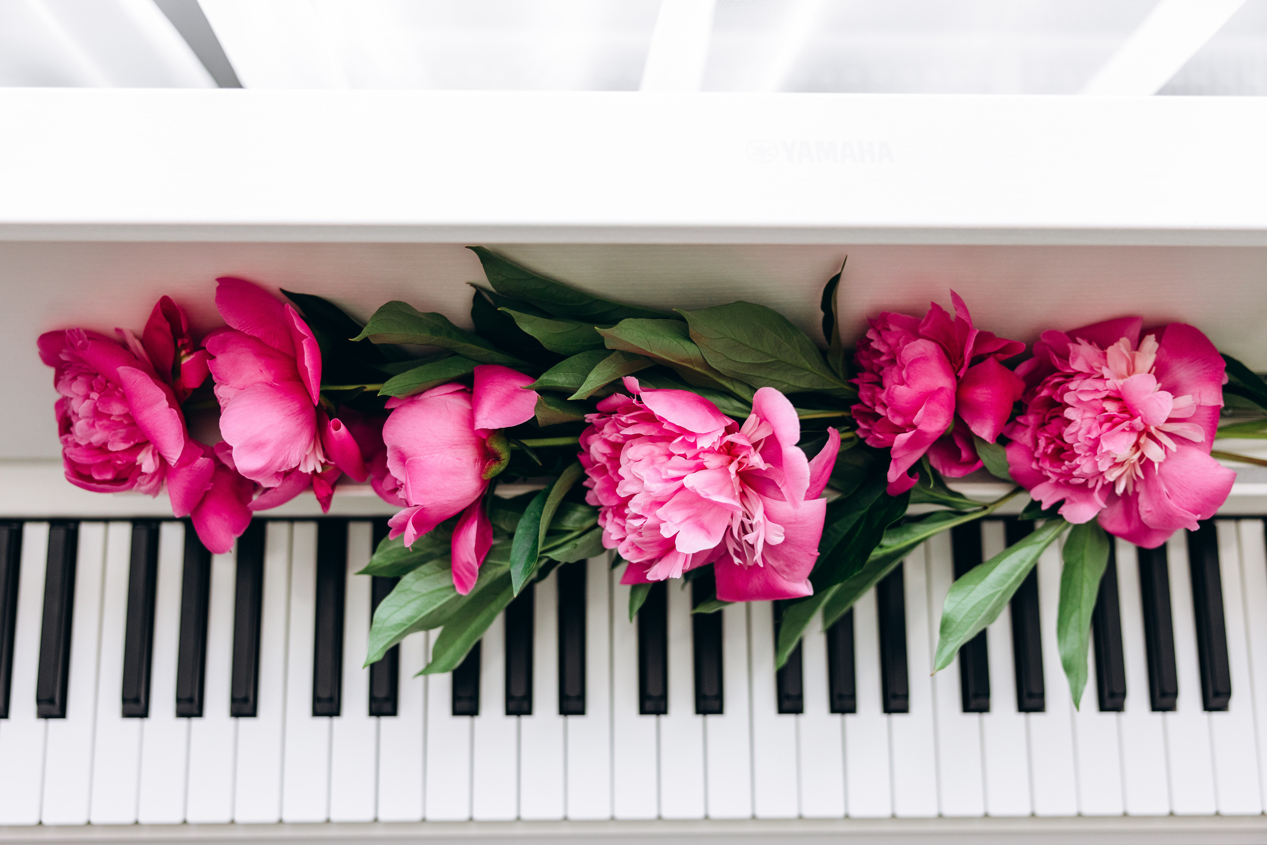 Inessa. Wedding photographer Osokin Evgeniy