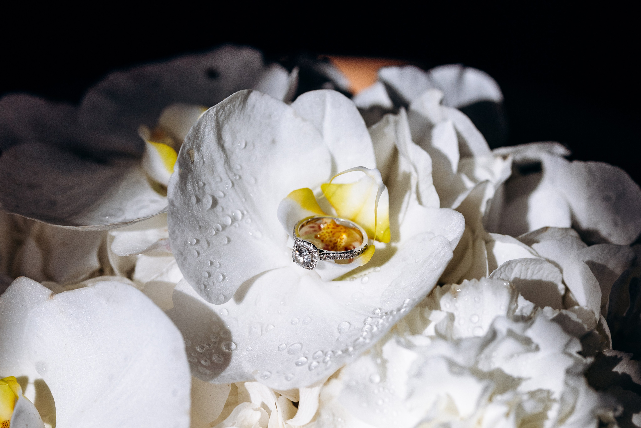 Arina & Oleg. Evgeniy Osokin Toronto Wedding Photographer Editorial&Candid