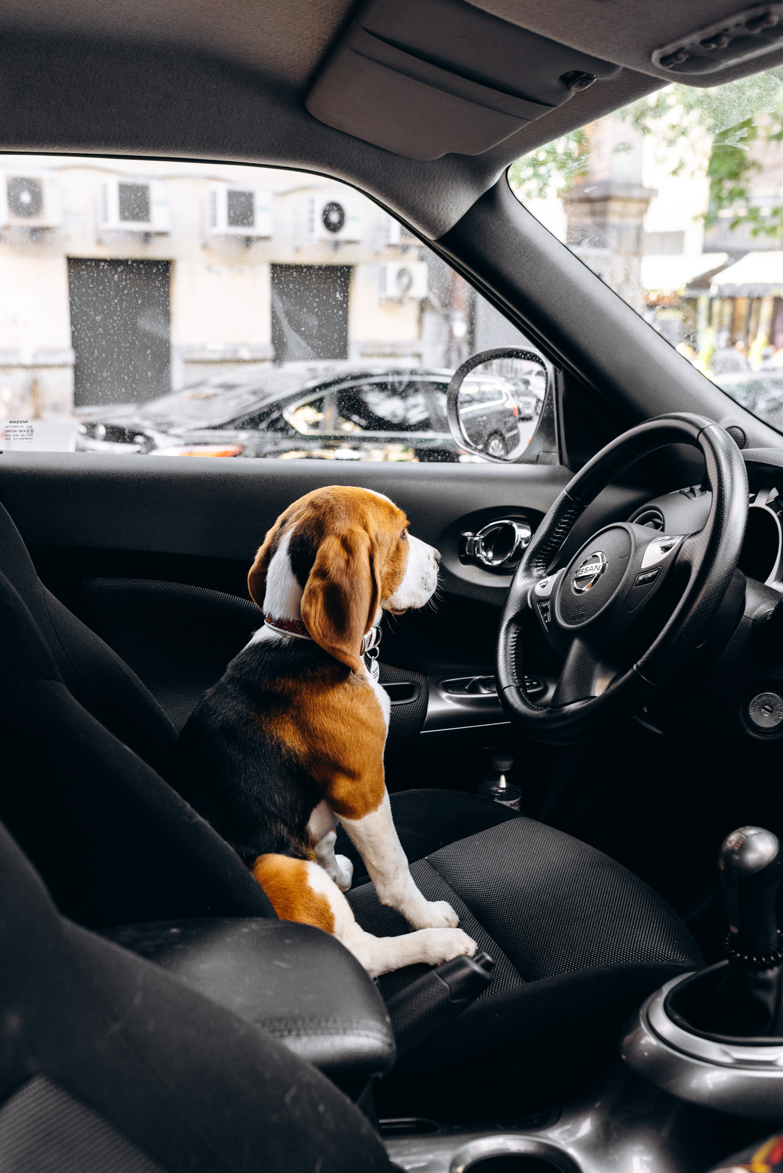 Anastasia. Весільний фотограф Осокін Євгеній