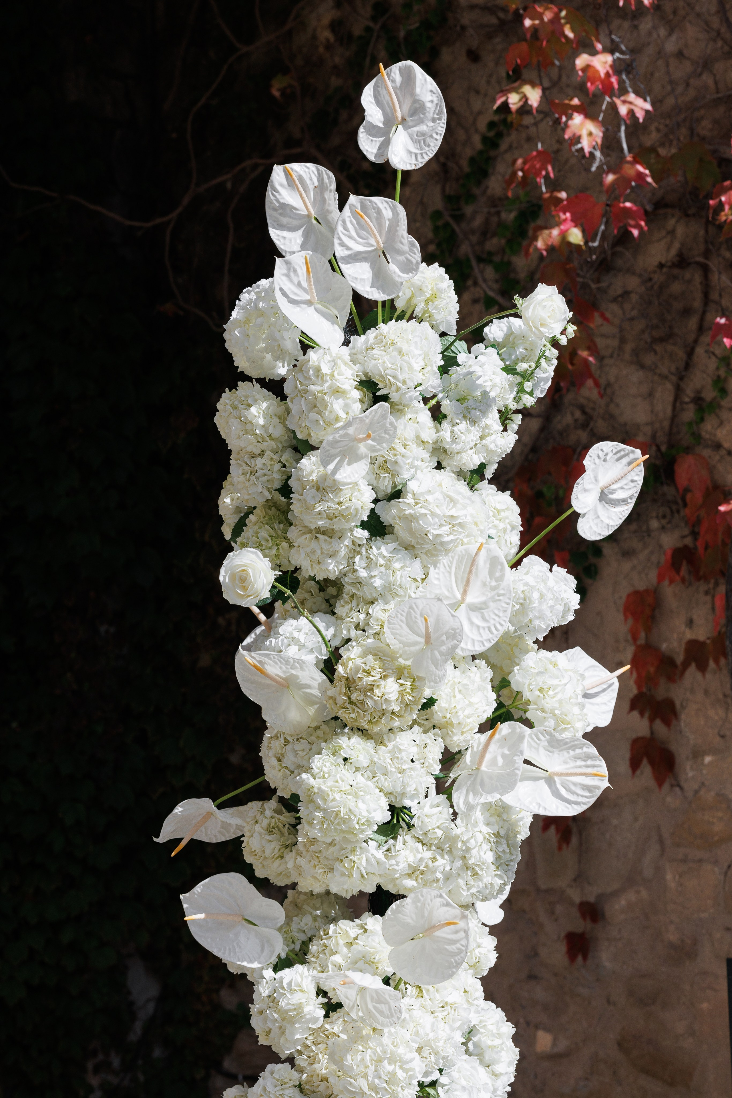 Fiona & Colin (Barcelona, La Baronia). Весільний фотограф Осокін Євгеній