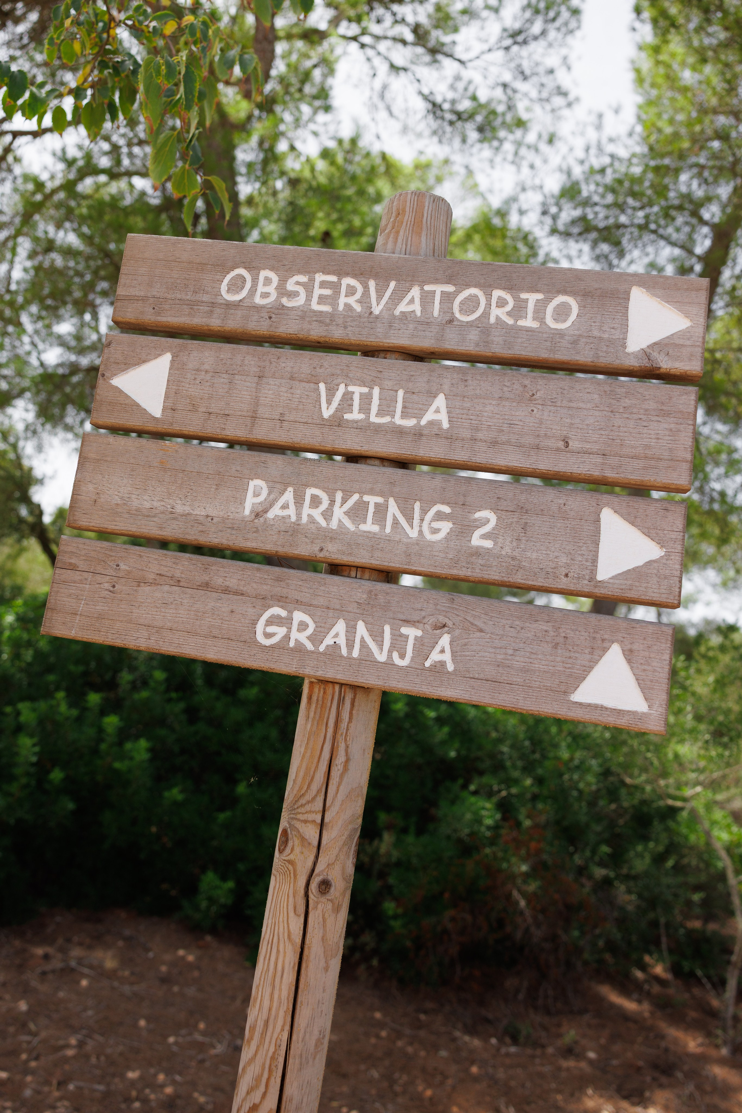 Valentina & Heinz (Palma de Mallorca, Finca Son Bi). Wedding photographer Osokin Evgeniy