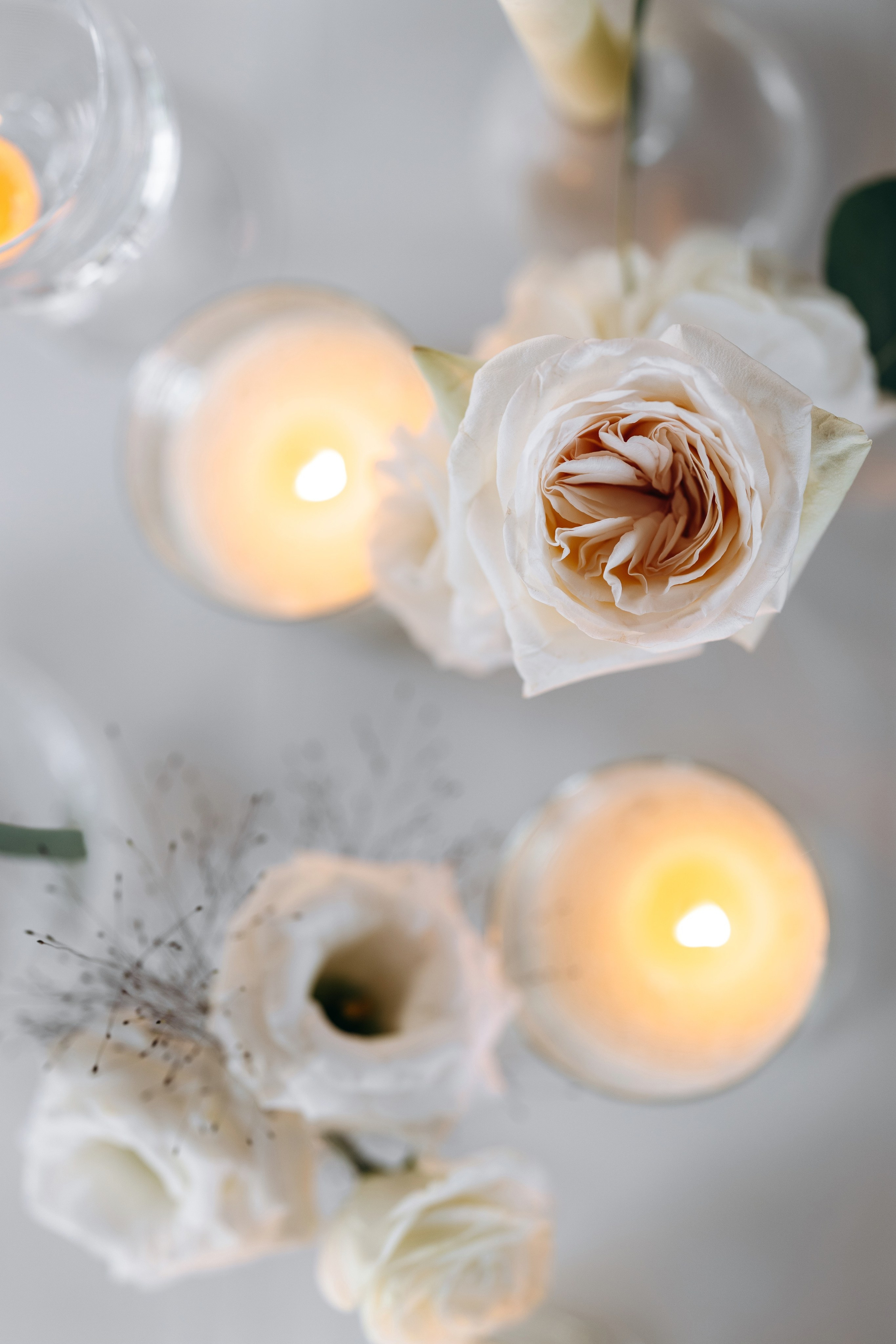 Albina & Alexandr. Весільний фотограф Київ Осокін Євгеній