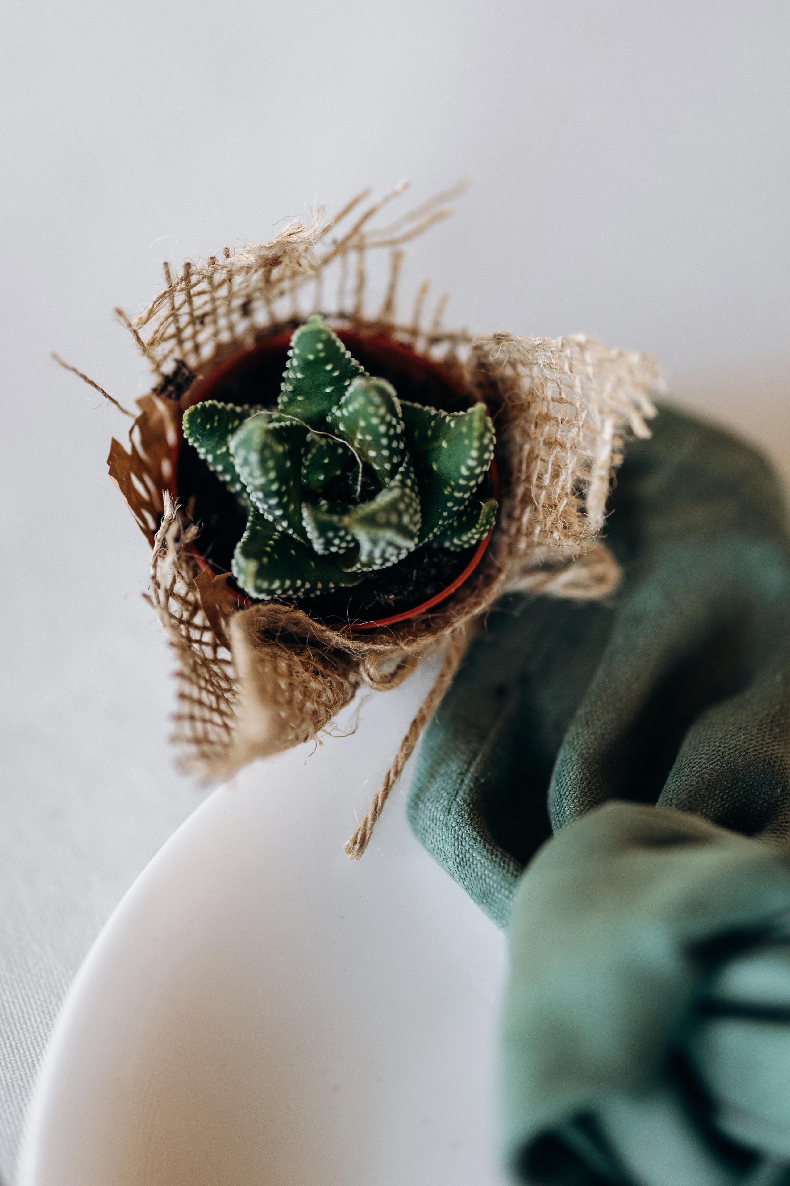 Albina & Alexandr. Весільний фотограф Київ Осокін Євгеній