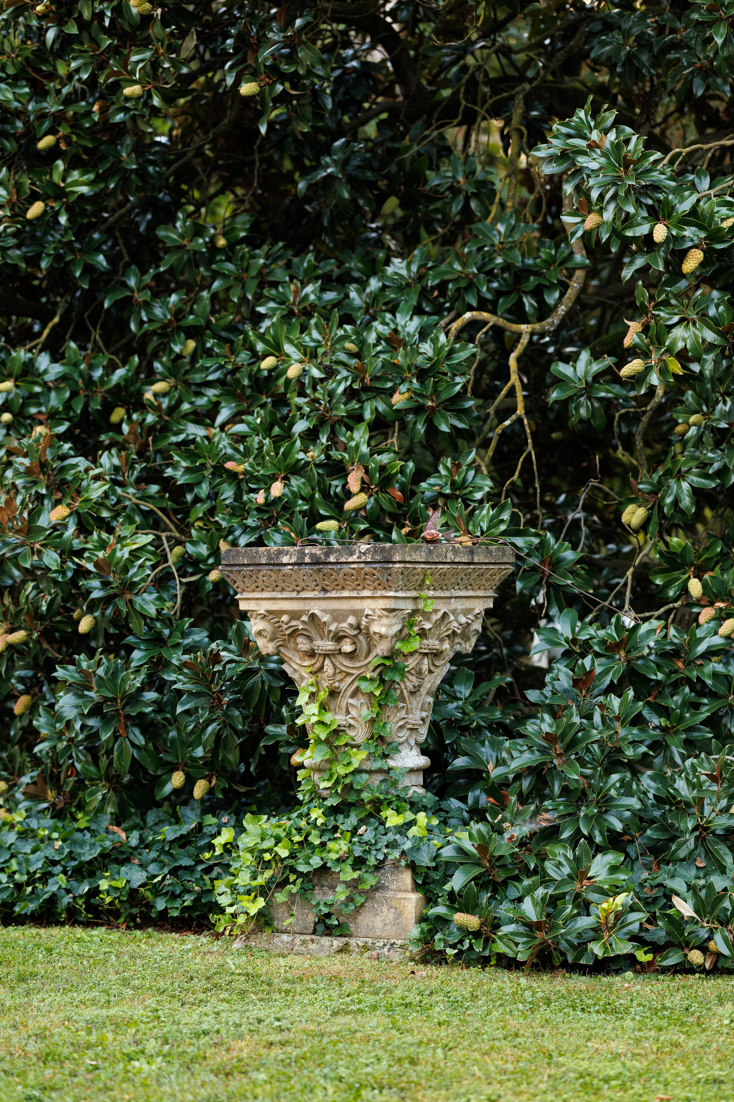 Chelcie & Metthew (Italy, Asti). Wedding photographer Osokin Evgeniy