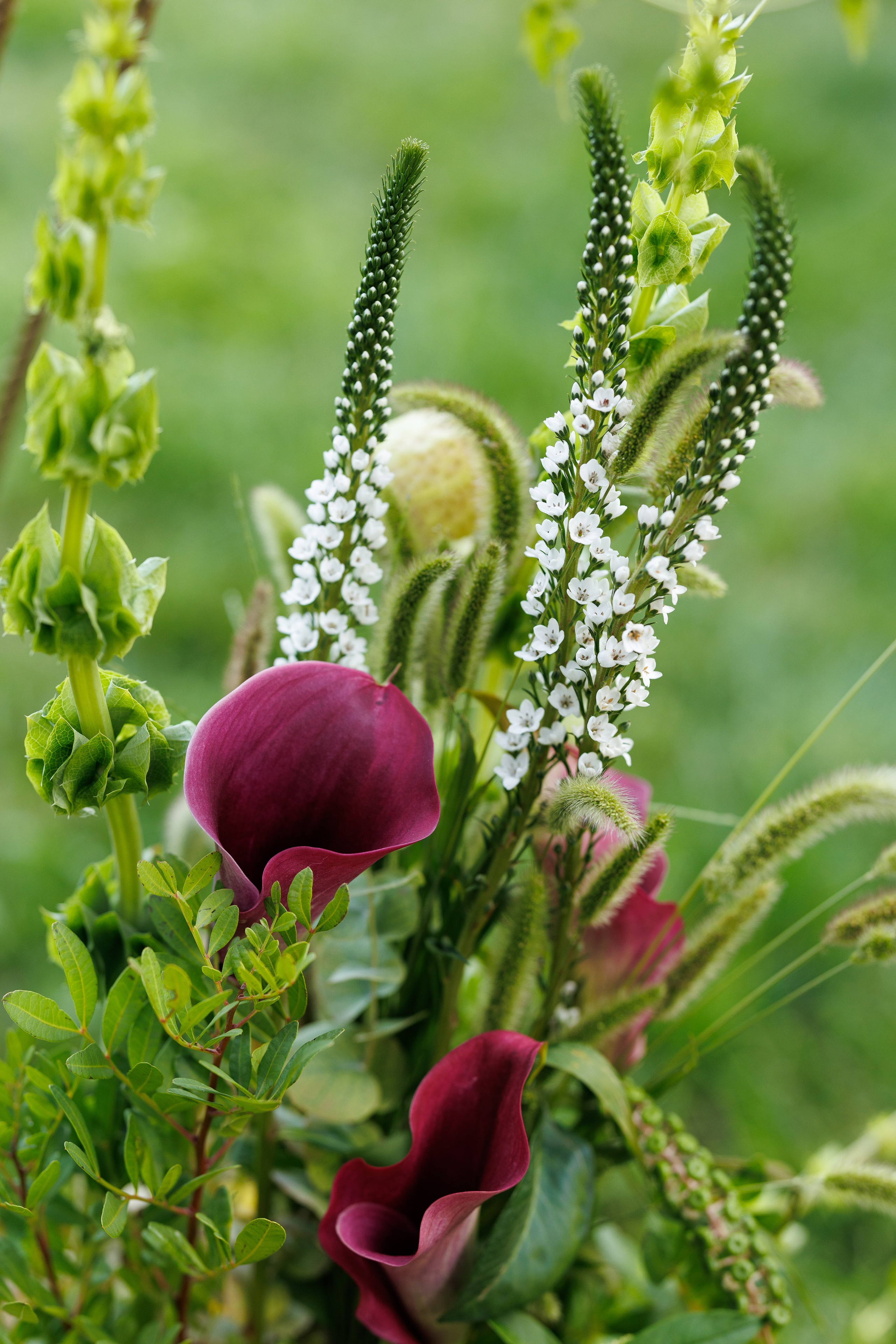 Chelcie & Metthew (Italy, Asti). Wedding photographer Osokin Evgeniy