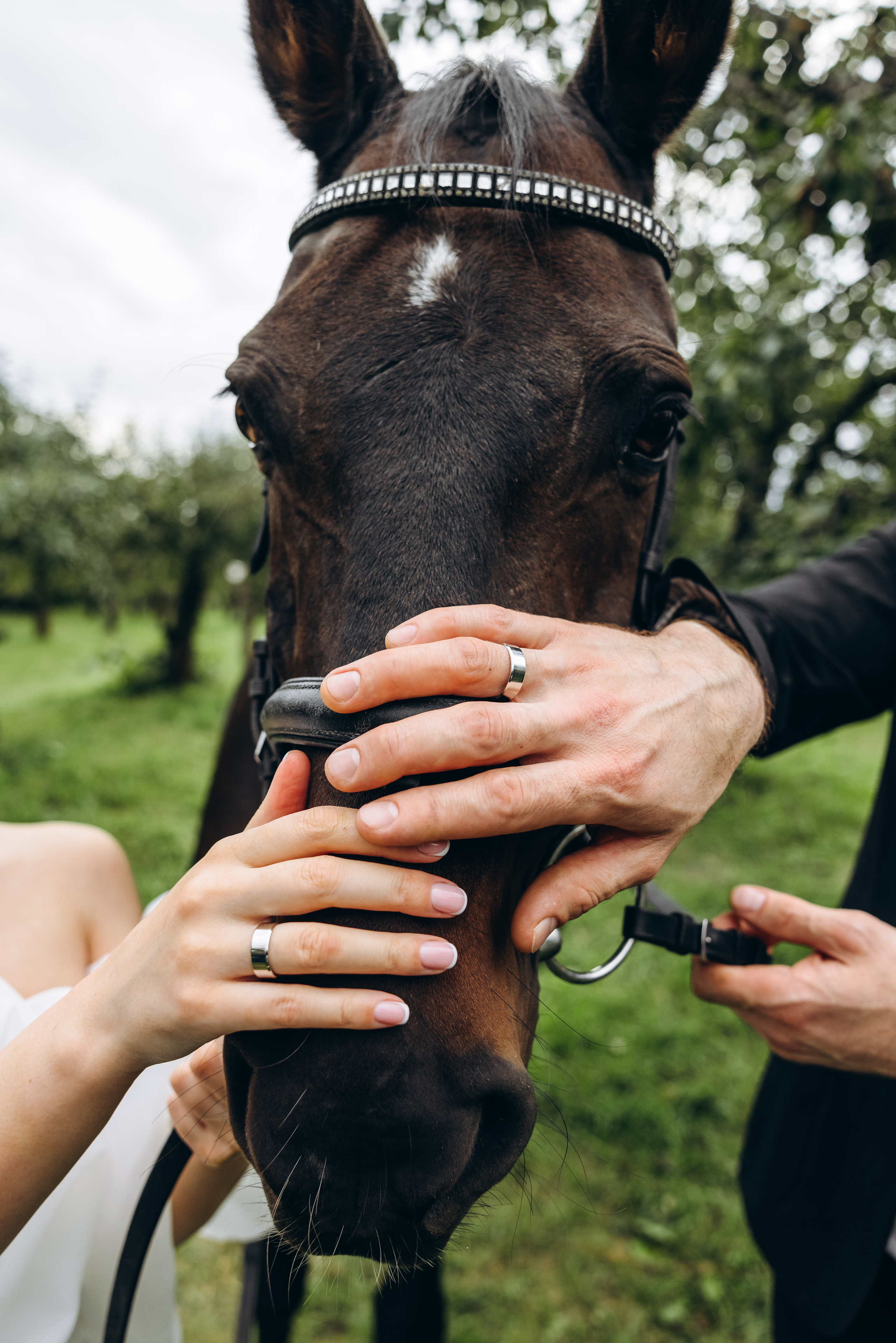Vita & Rail. Wedding photographer Osokin Evgeniy