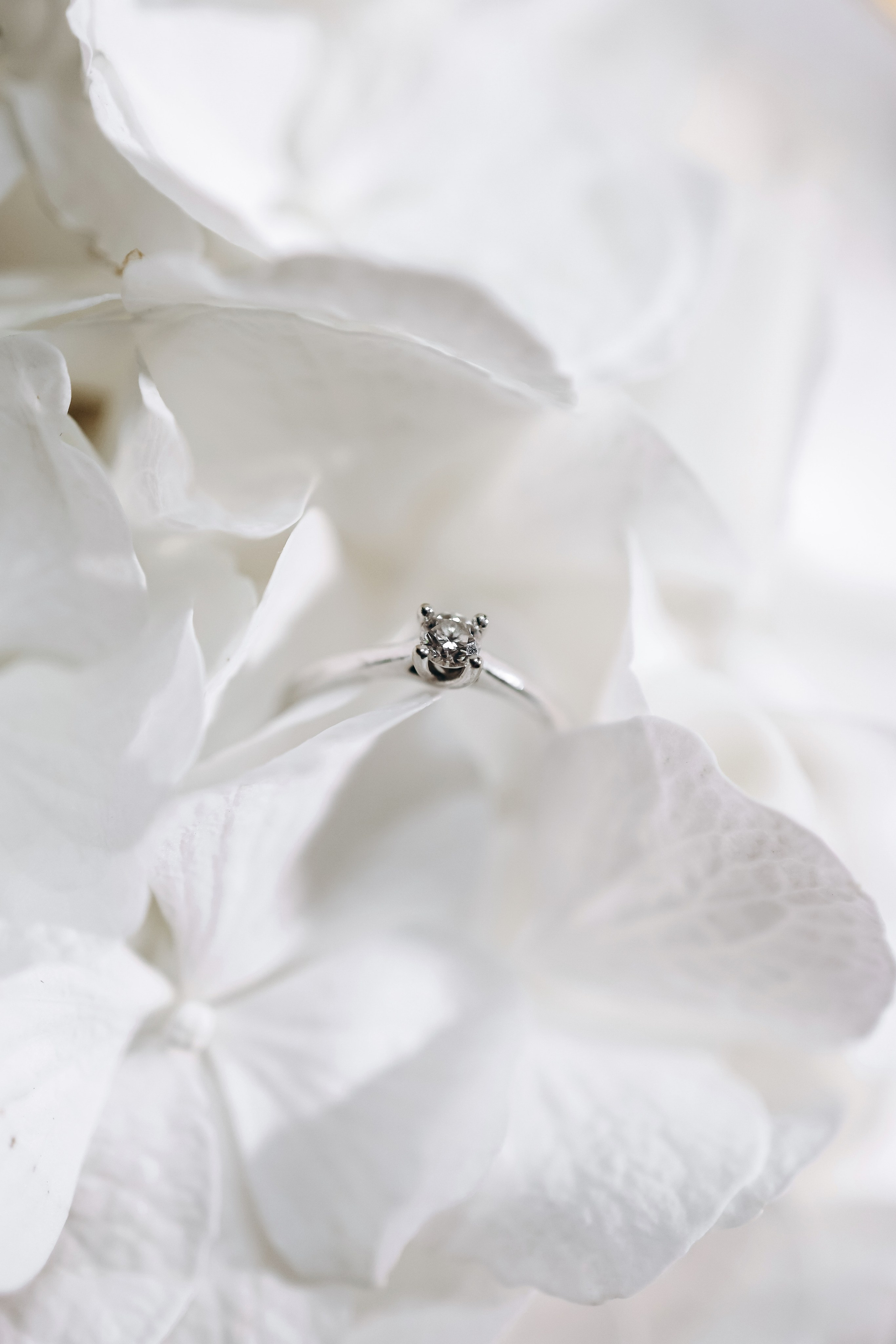 Albina & Alexandr. Весільний фотограф Київ Осокін Євгеній