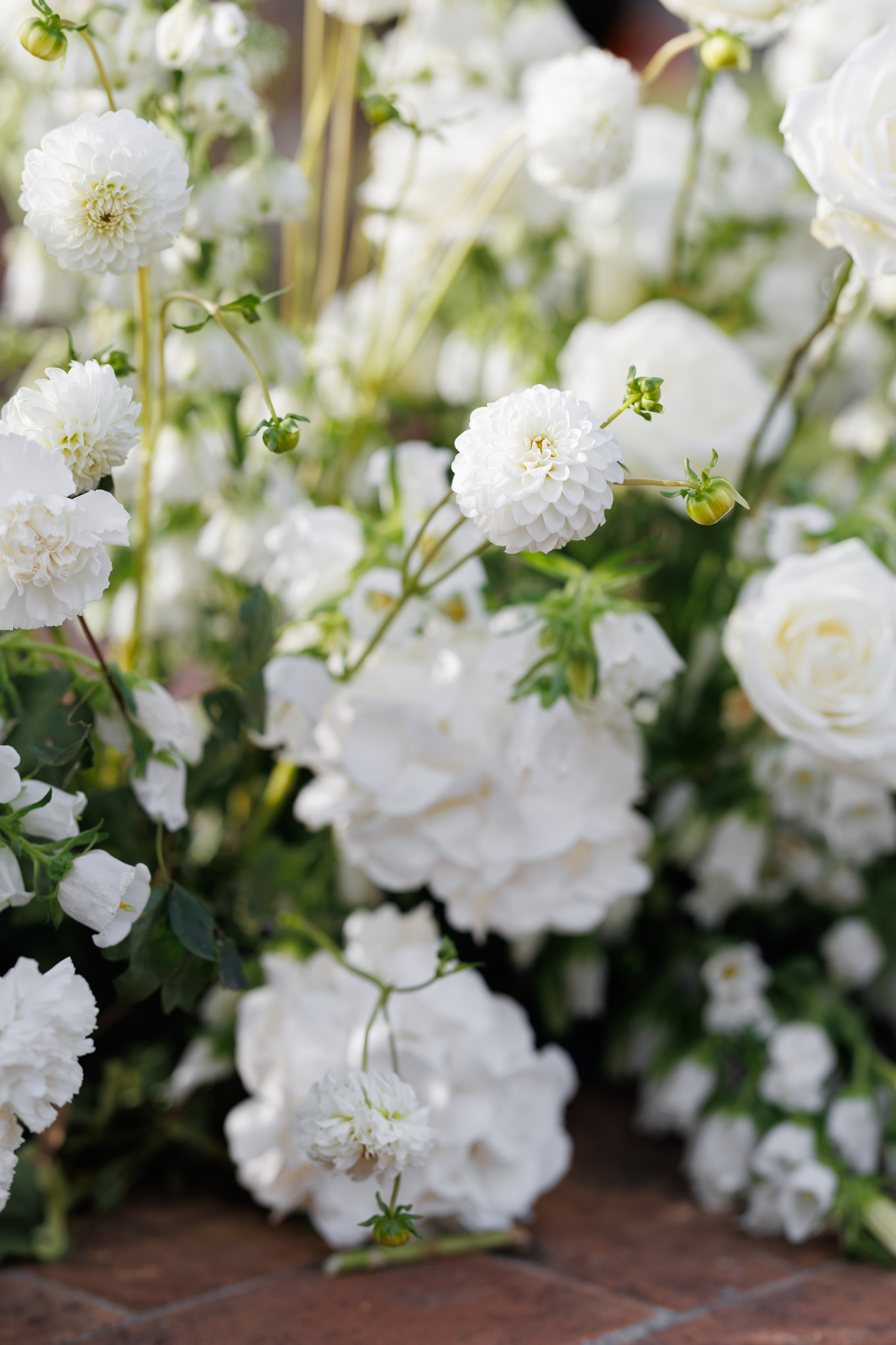 Julia & Max. Wedding photographer Toronto Osokin Evgeniy