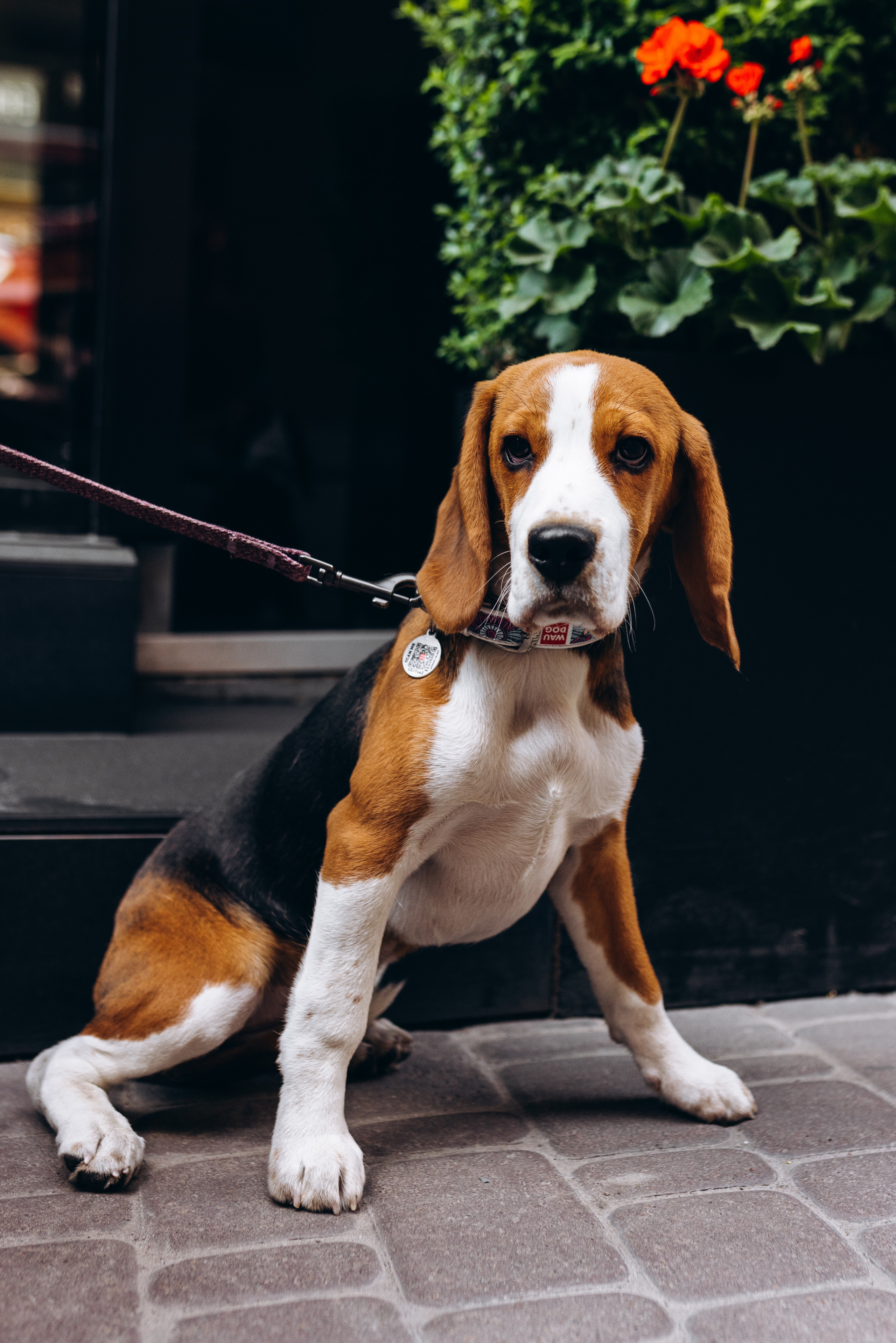 Anastasia. Весільний фотограф Осокін Євгеній