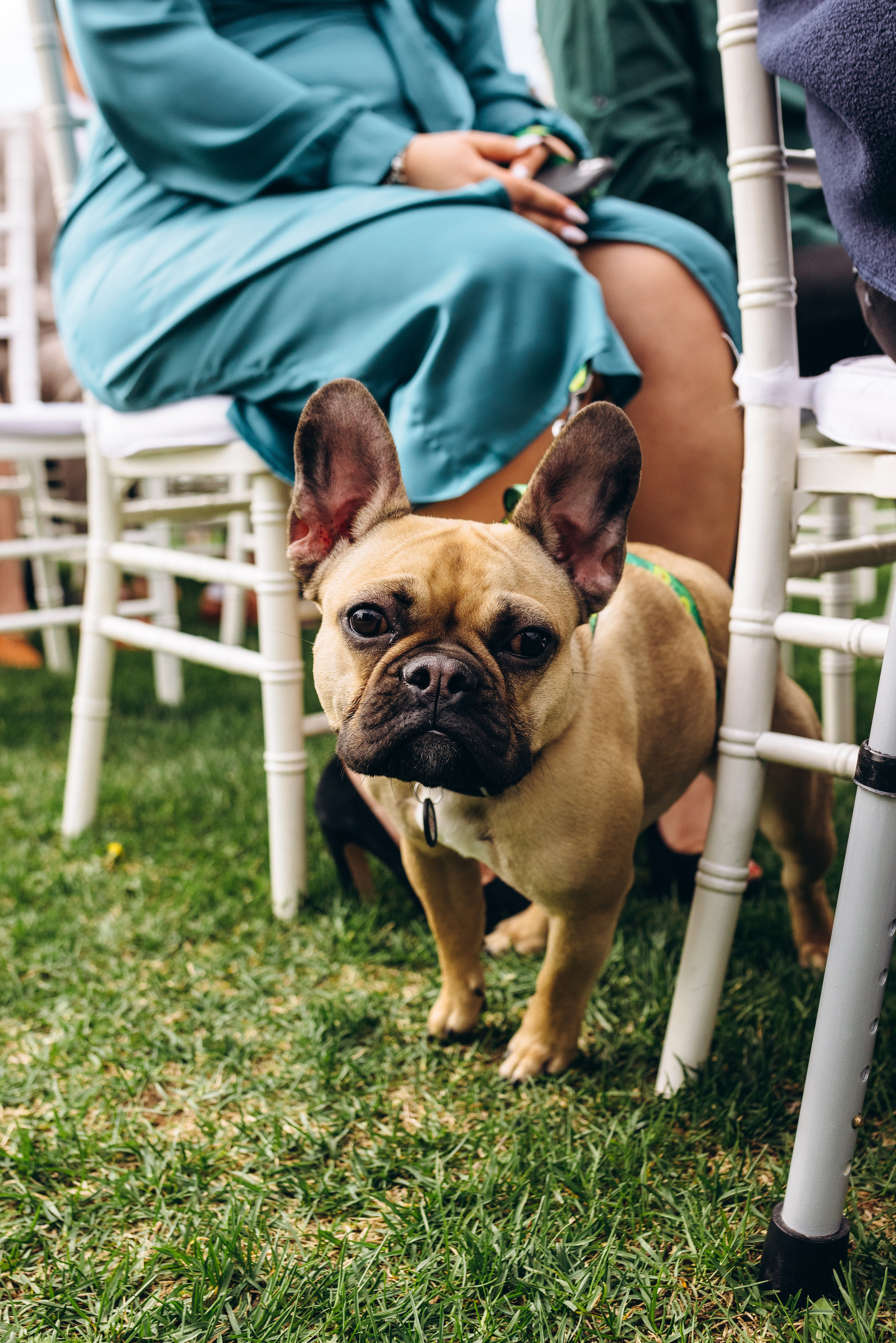 Snezhana & Alexey. Wedding photographer Osokin Evgeniy