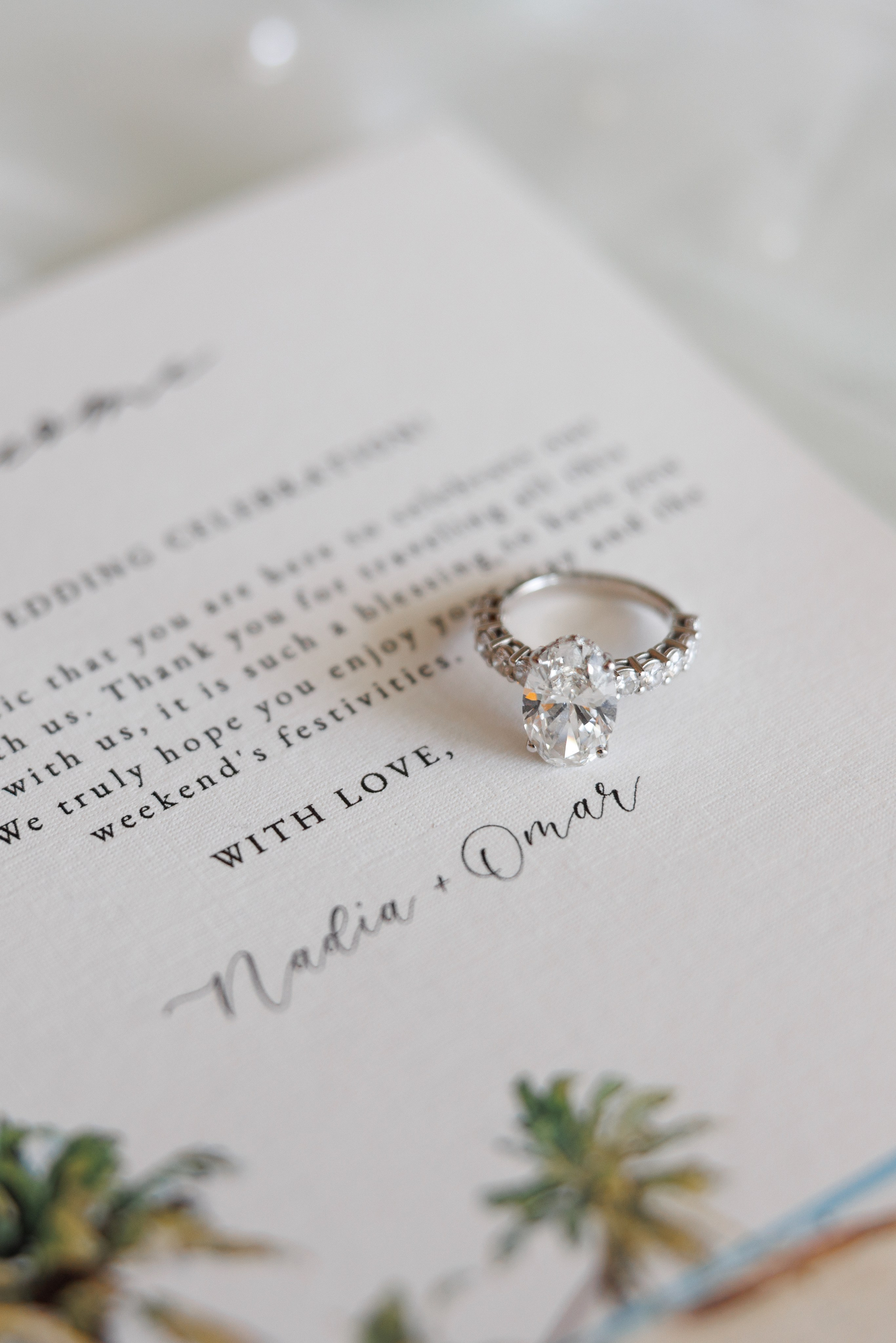 Nadia & Omar — Wedding Photographer Toronto Evgeniy Osokin