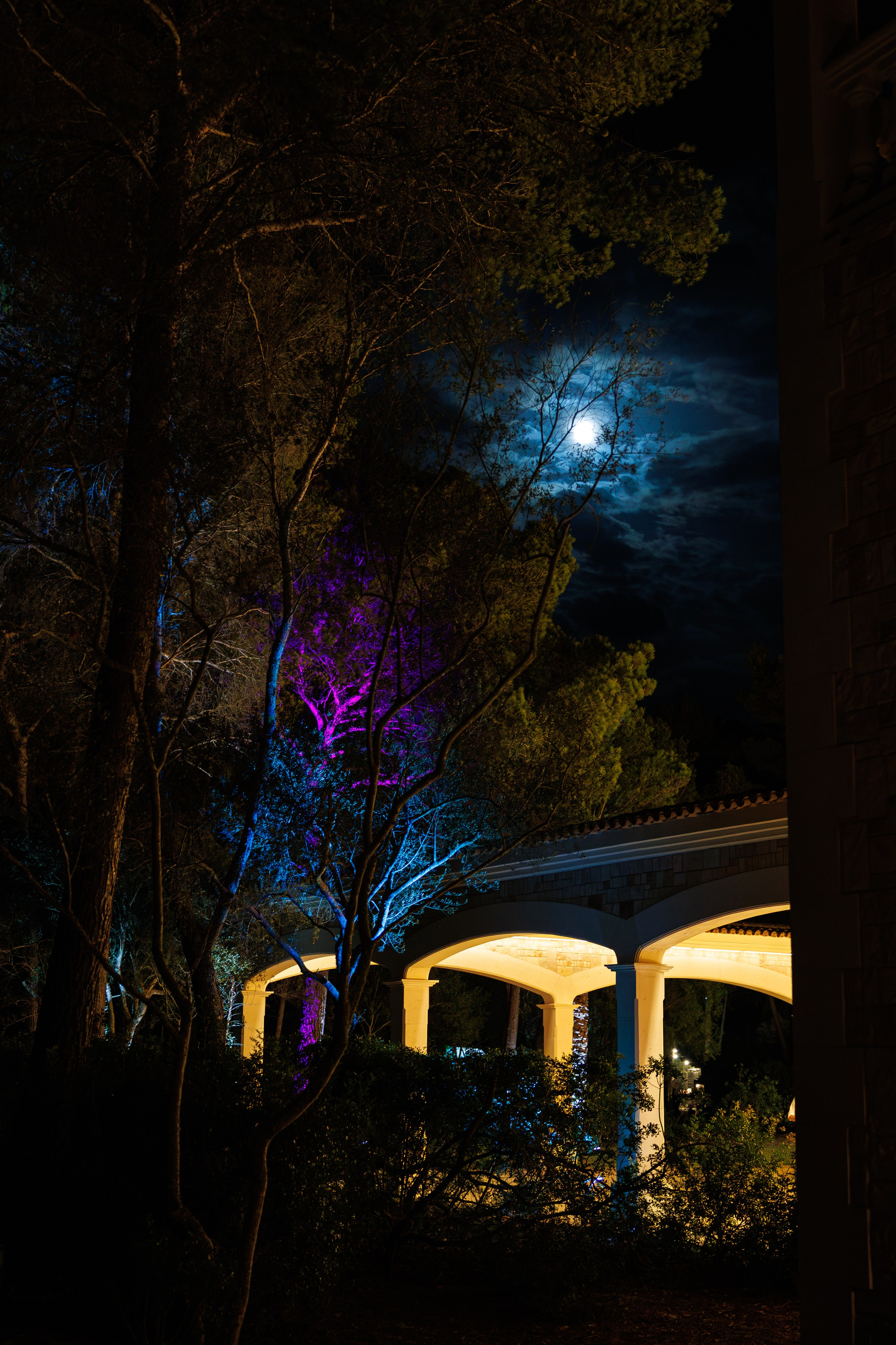 Valentina & Heinz (Palma de Mallorca, Finca Son Bi). Wedding photographer Osokin Evgeniy