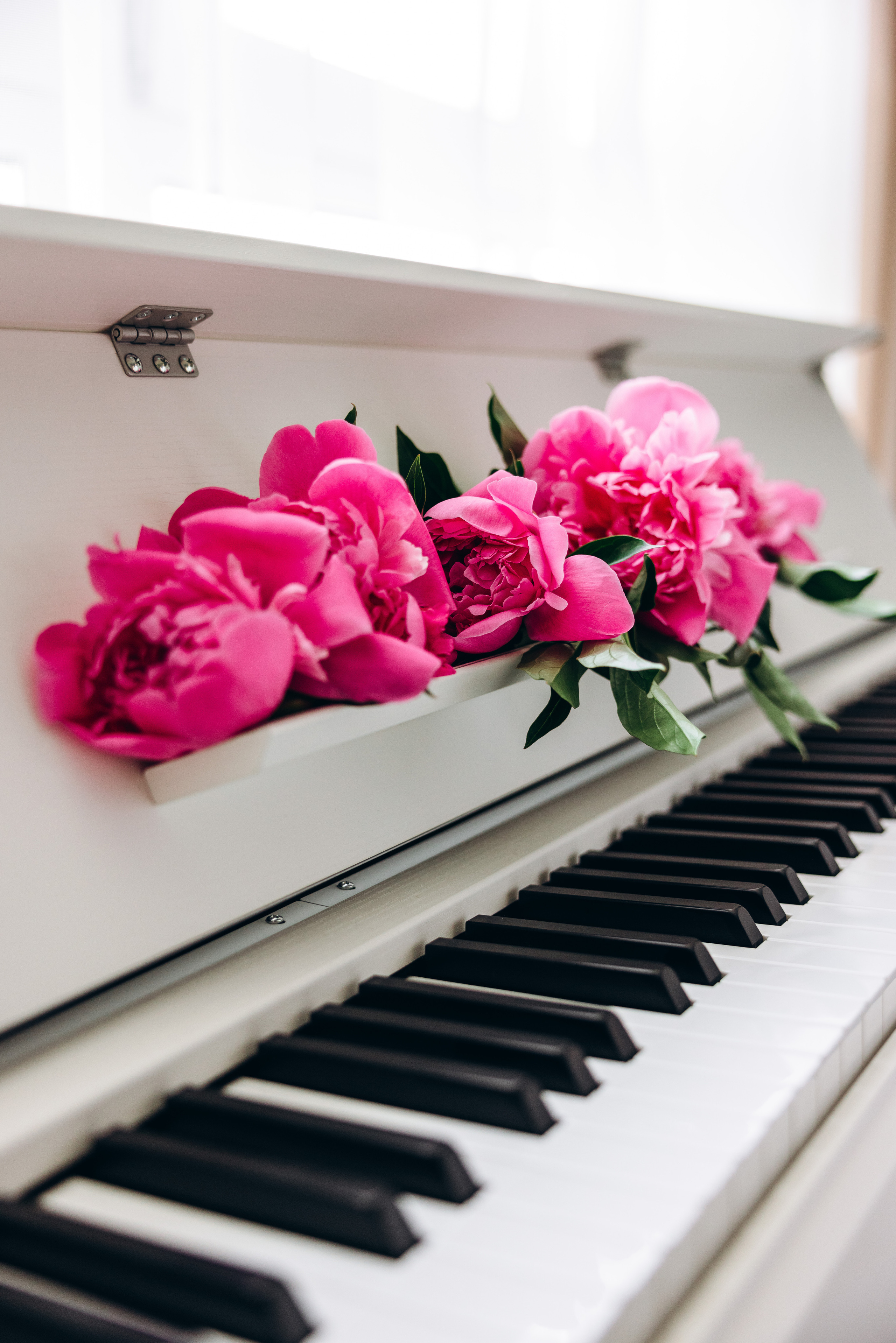 Inessa. Wedding photographer Osokin Evgeniy