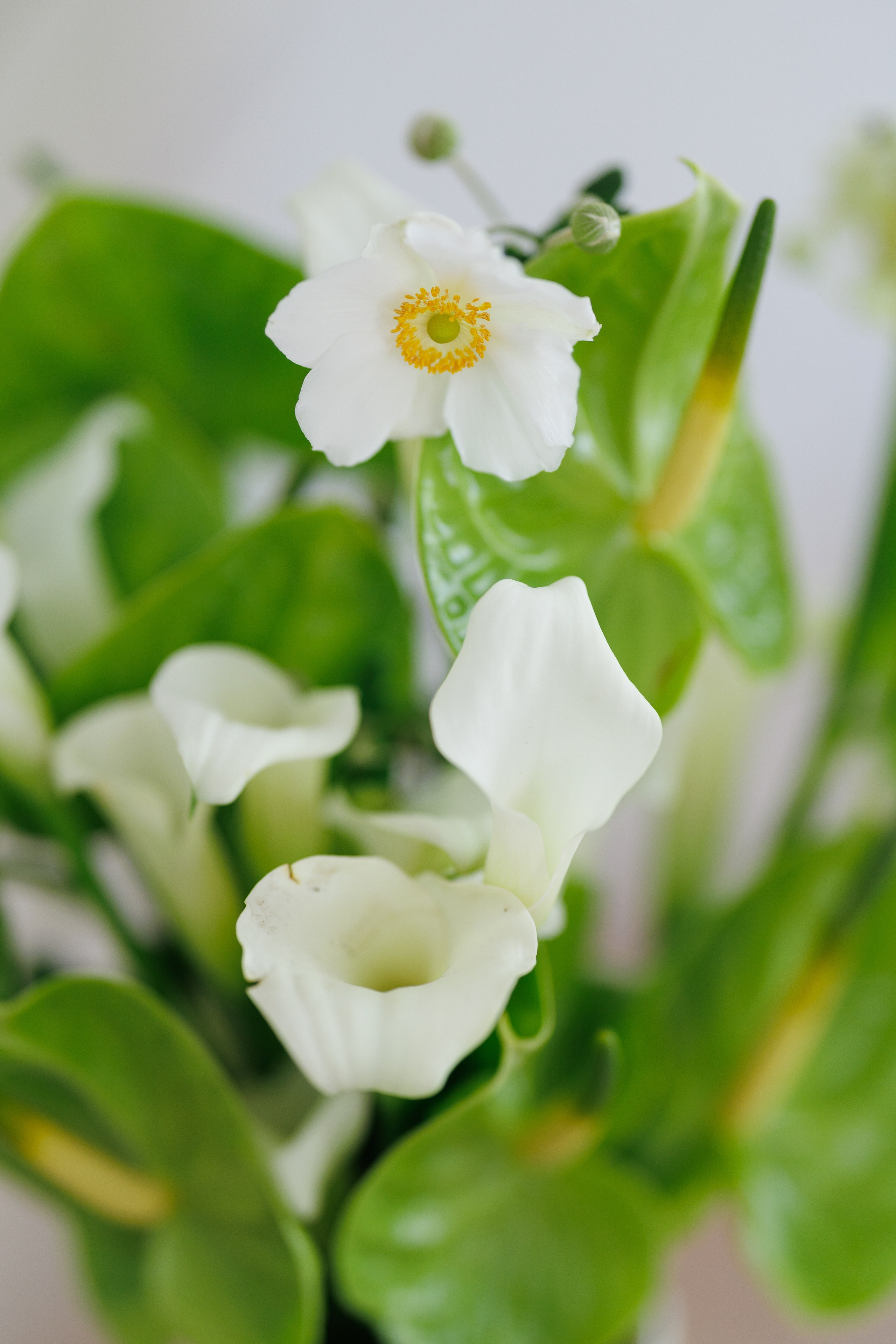 Valentina & Heinz (Palma de Mallorca, Finca Son Bi). Wedding photographer Osokin Evgeniy