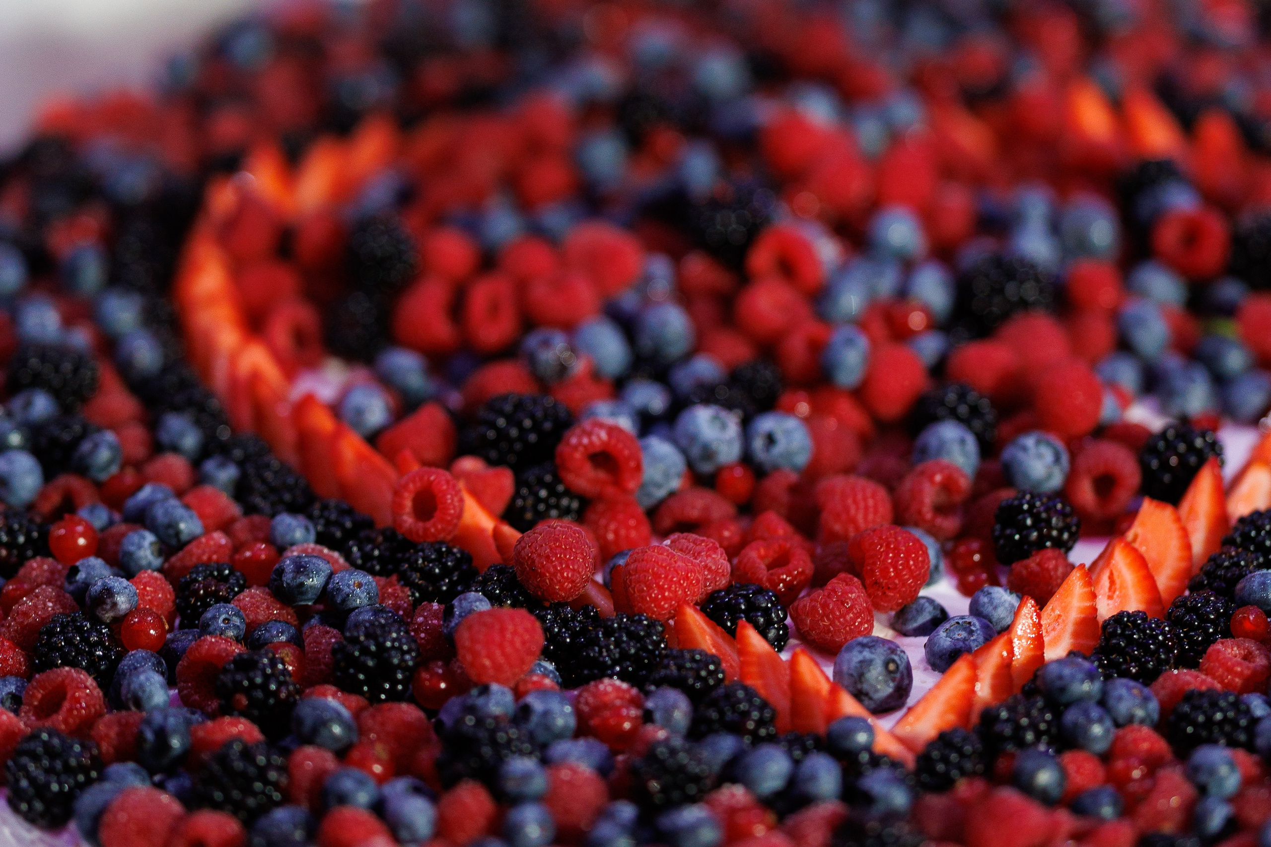 Julia & Max (Florence, Castello Di Cassole). Wedding photographer Osokin Evgeniy