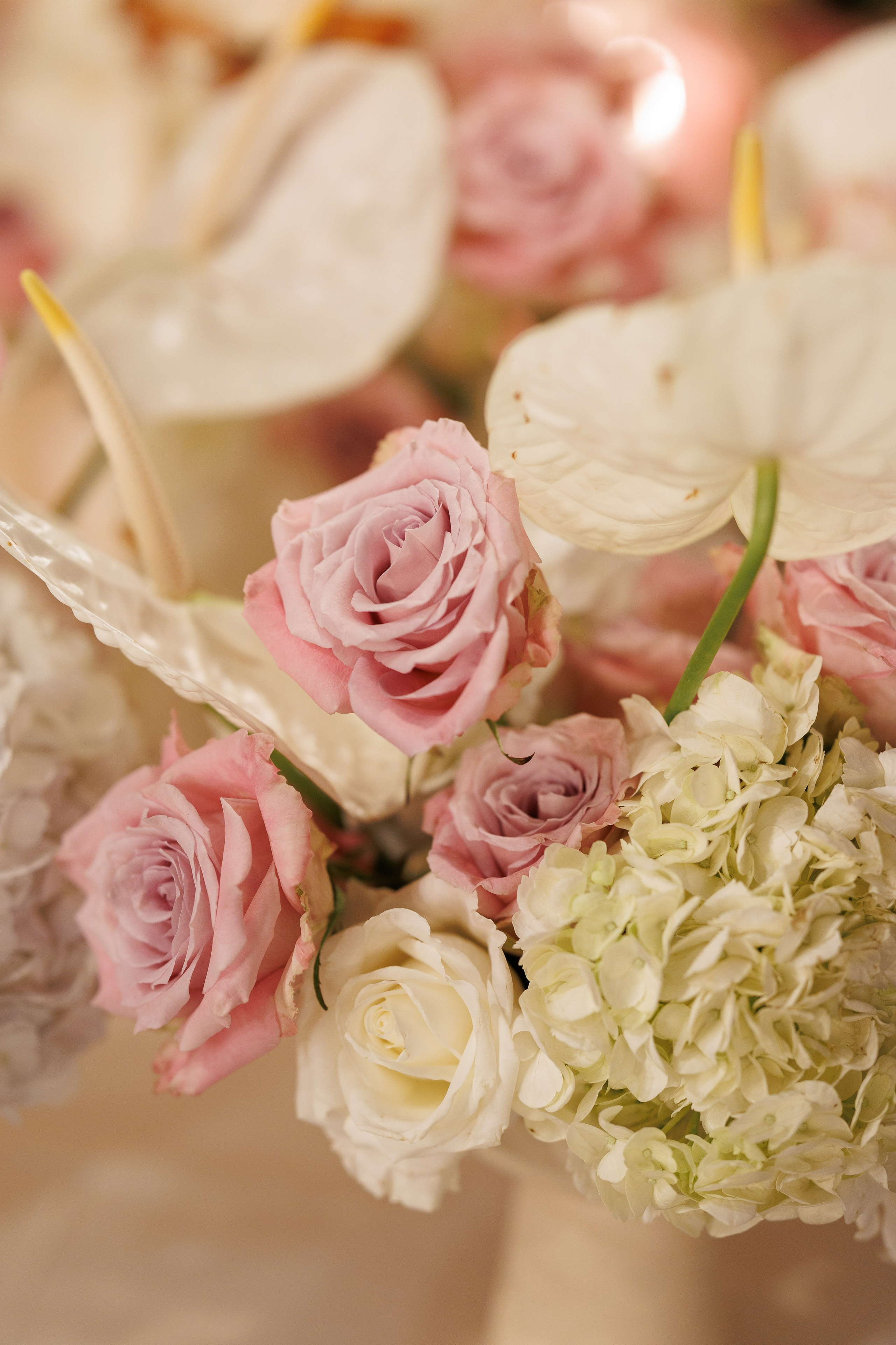 Fiona & Colin (Barcelona, La Baronia). Весільний фотограф Осокін Євгеній