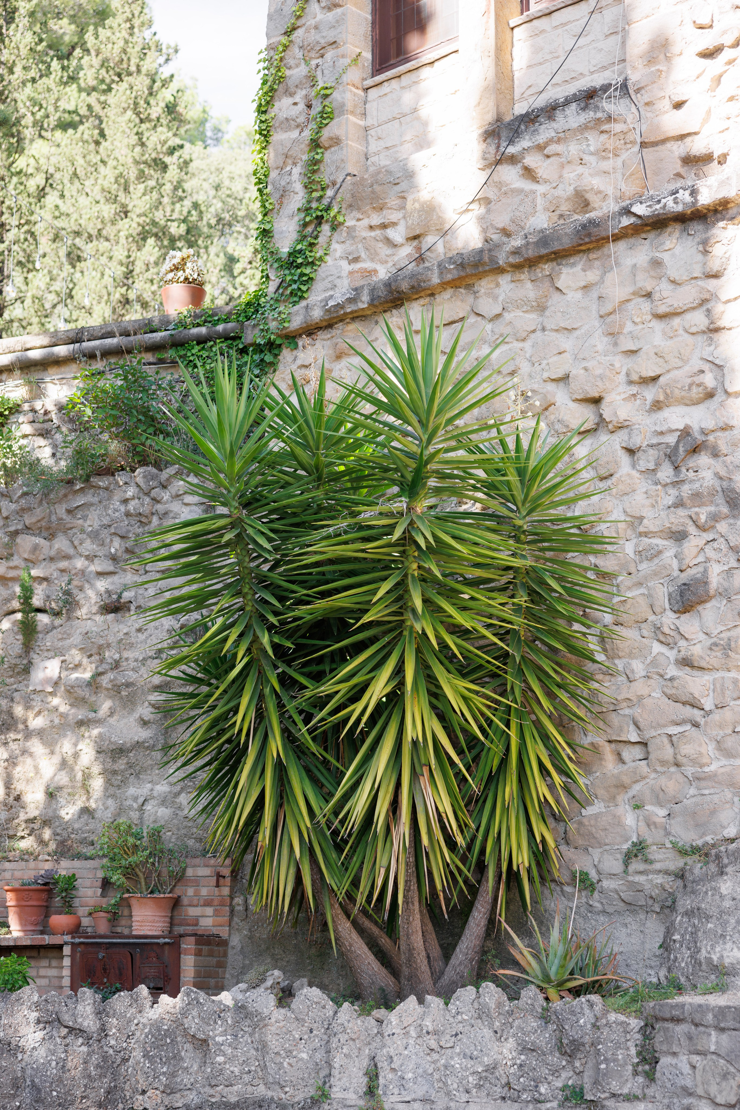 Fiona & Colin (Barcelona, La Baronia). Весільний фотограф Осокін Євгеній