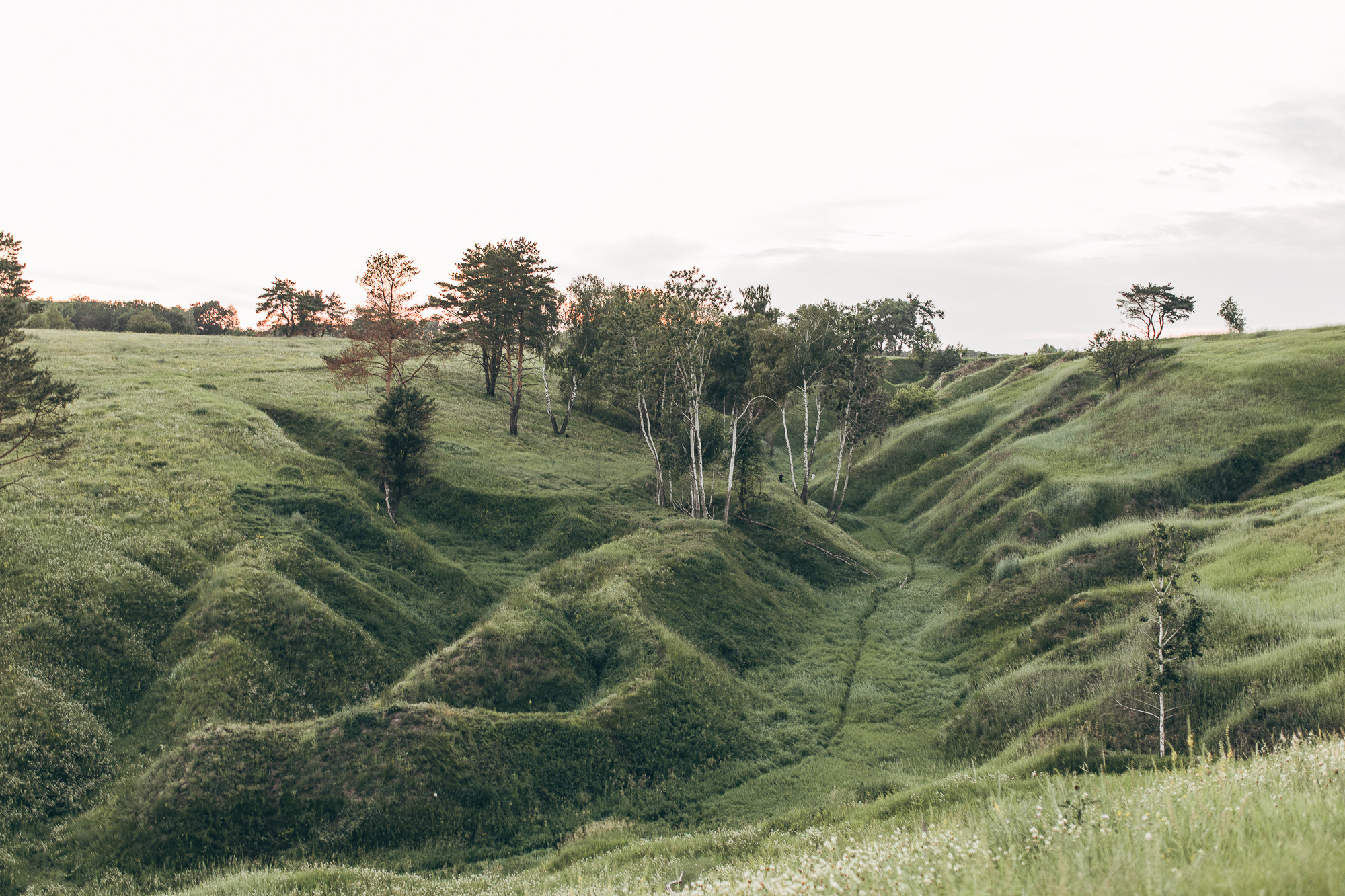 Alexandra & Maxim. Весільний фотограф Київ Осокін Євгеній