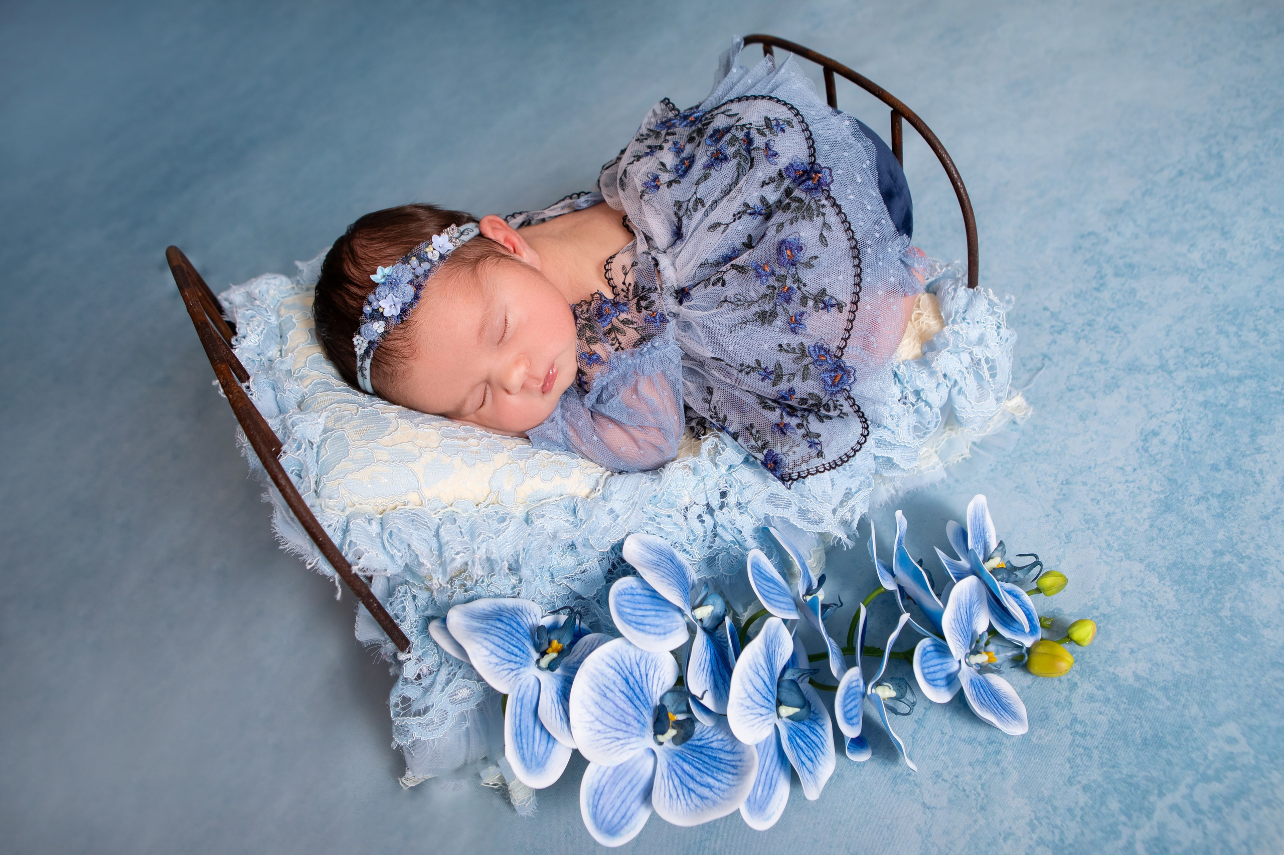 Злата. Сімейний та Весільний  фотограф Ірина Онищенко