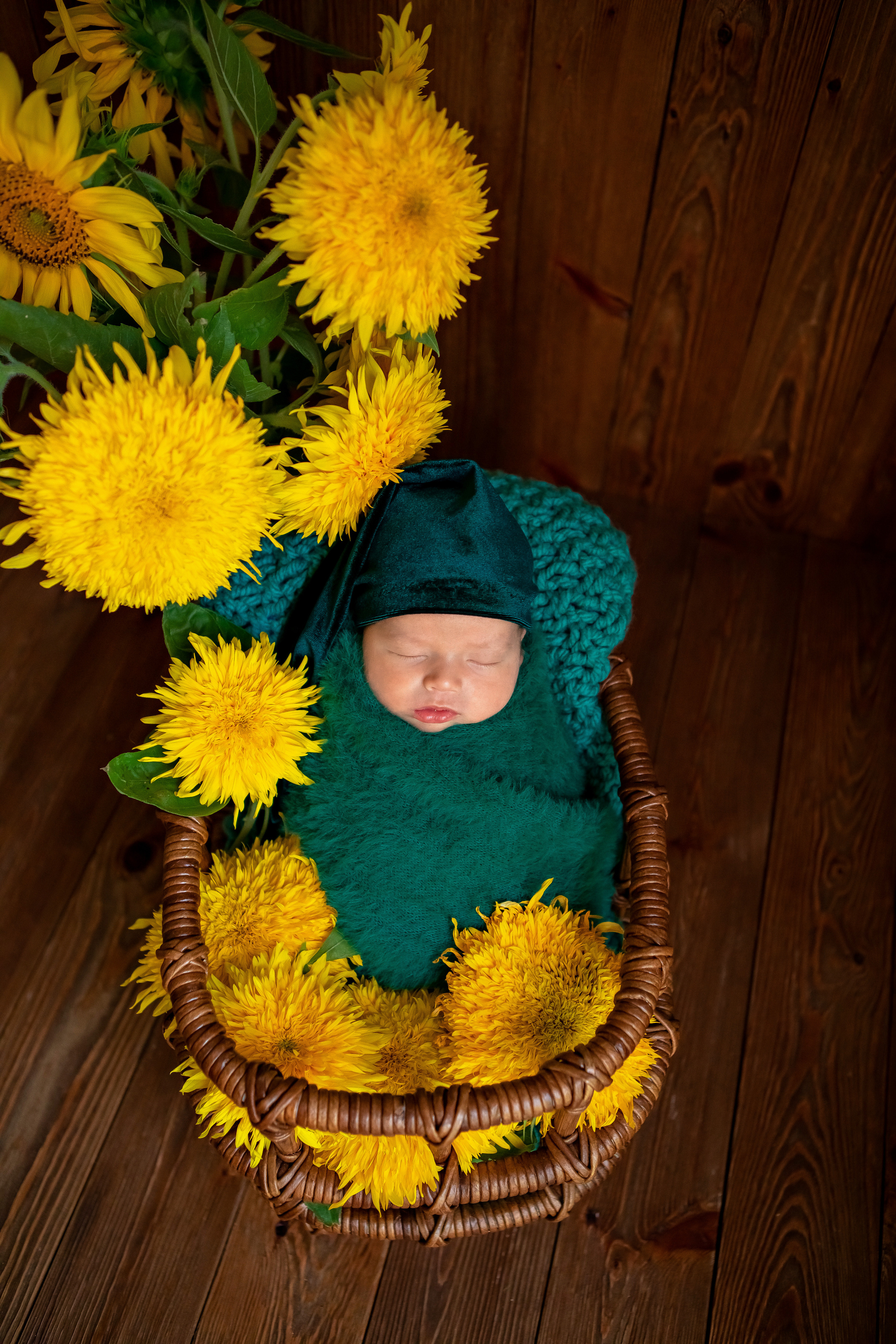 Тімофей. Сімейний та Весільний  фотограф Ірина Онищенко