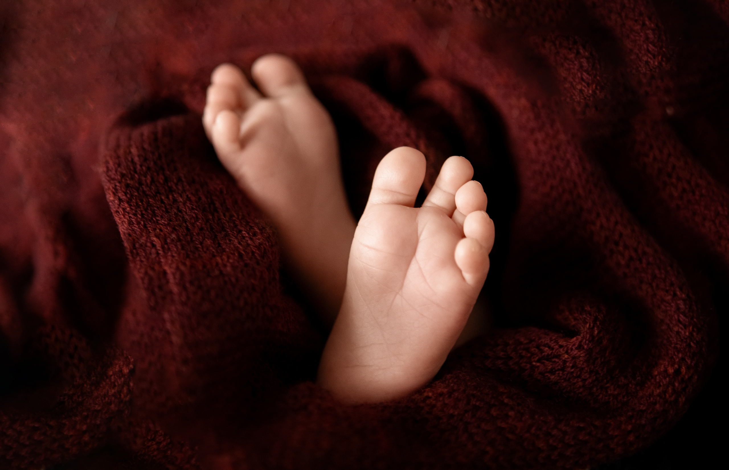 Аліса. Сімейний та Весільний  фотограф Ірина Онищенко