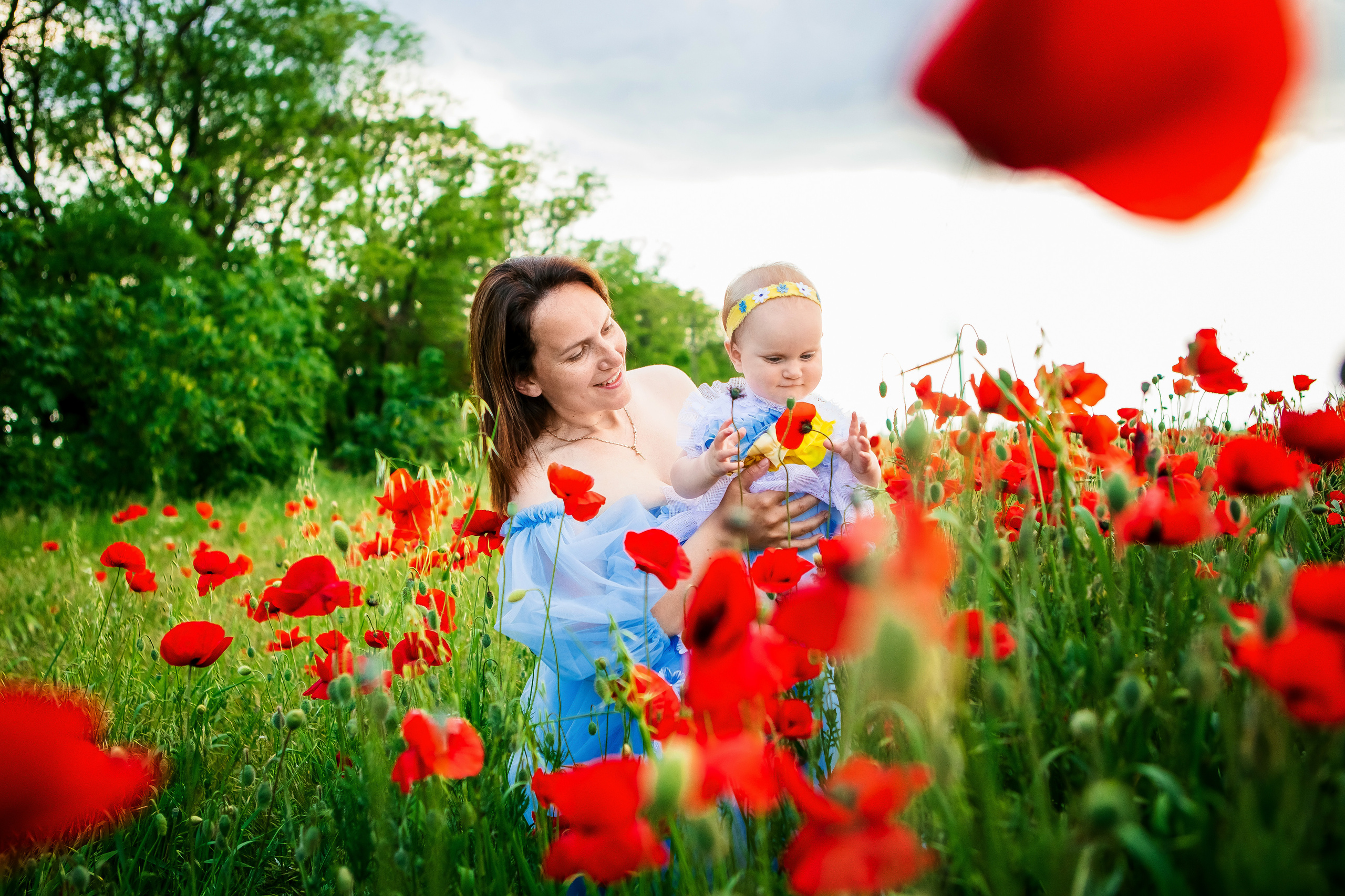 Фотосесія в маках. Сімейний та Весільний  фотограф Ірина Онищенко