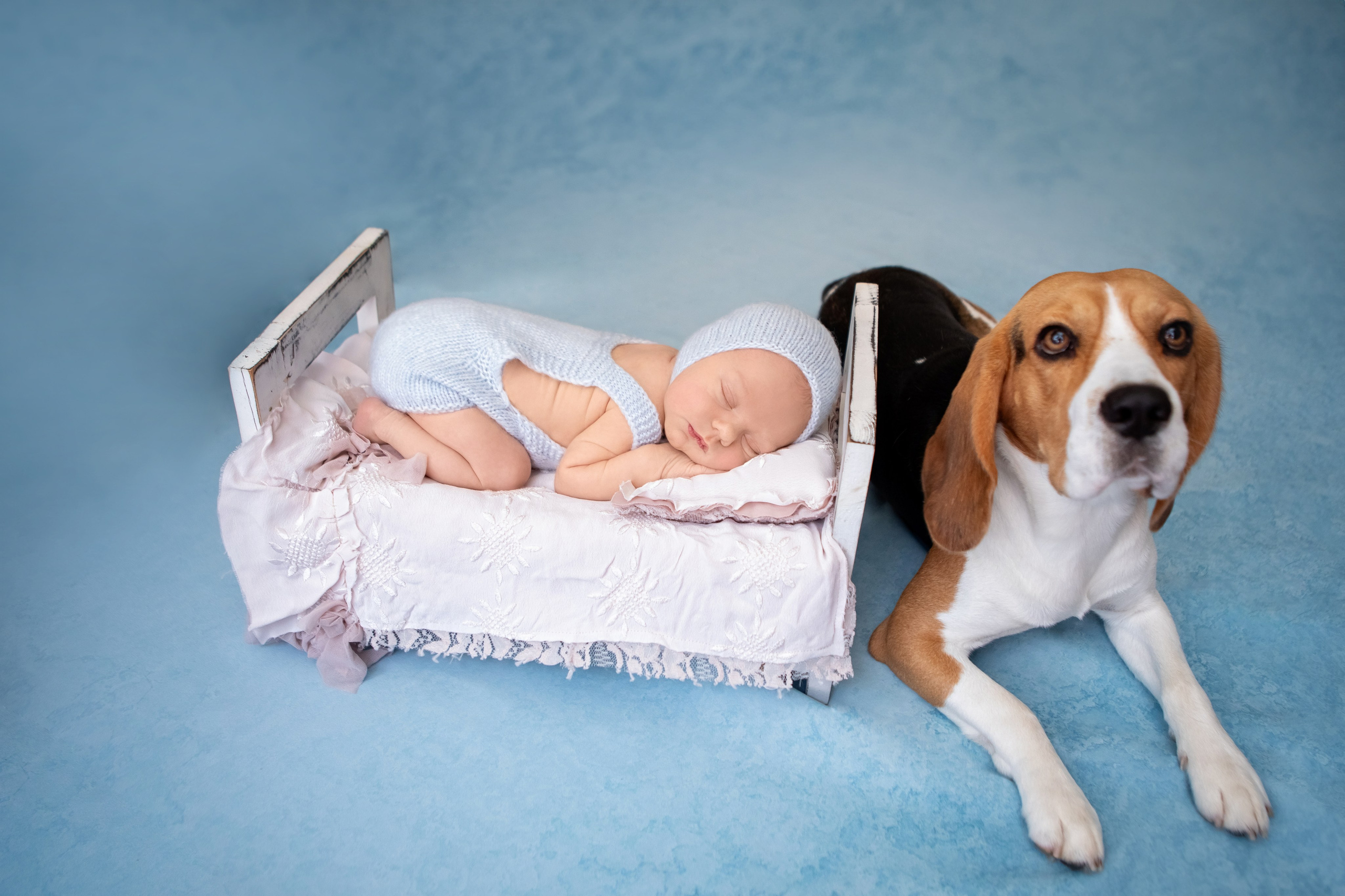 Данієль. Сімейний та Весільний  фотограф Ірина Онищенко