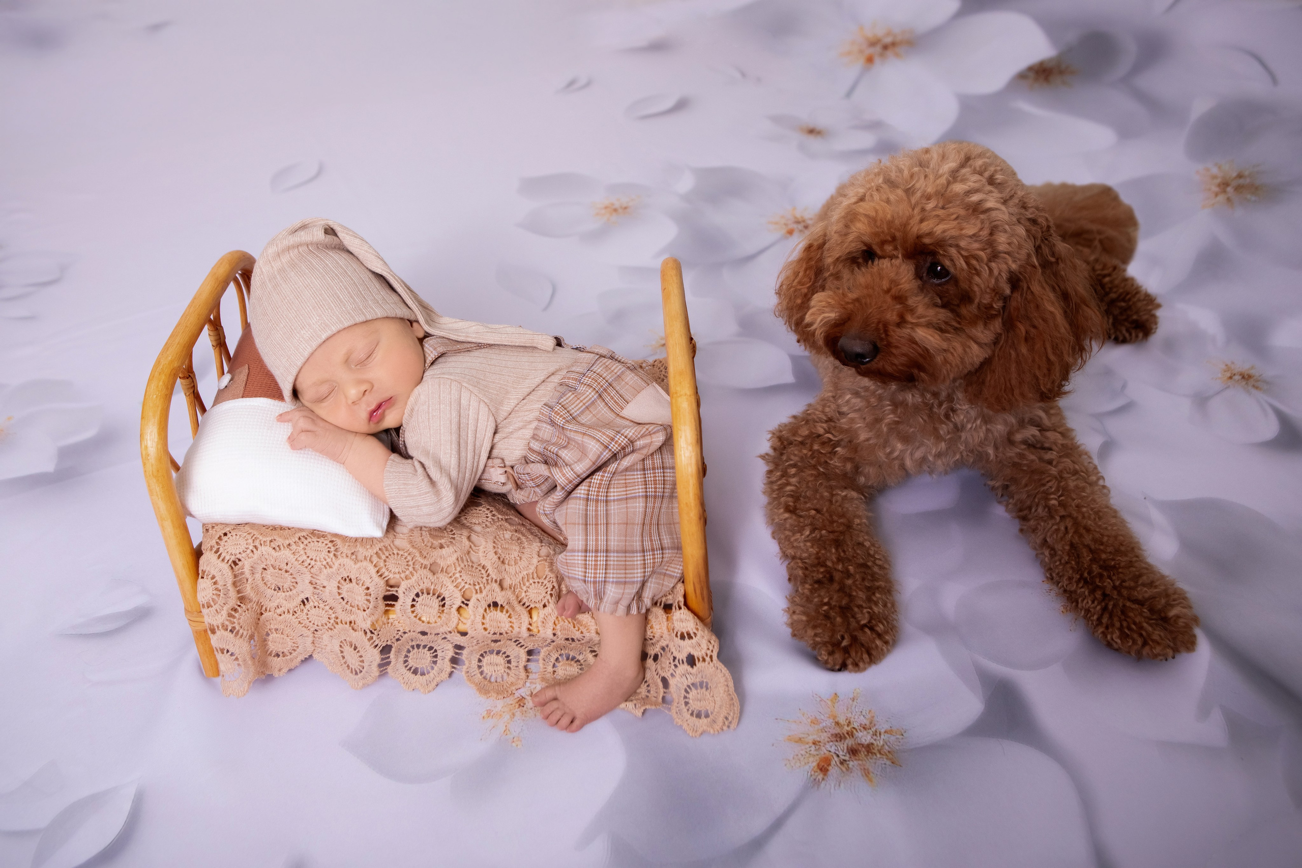 Даня. Сімейний та Весільний  фотограф Ірина Онищенко