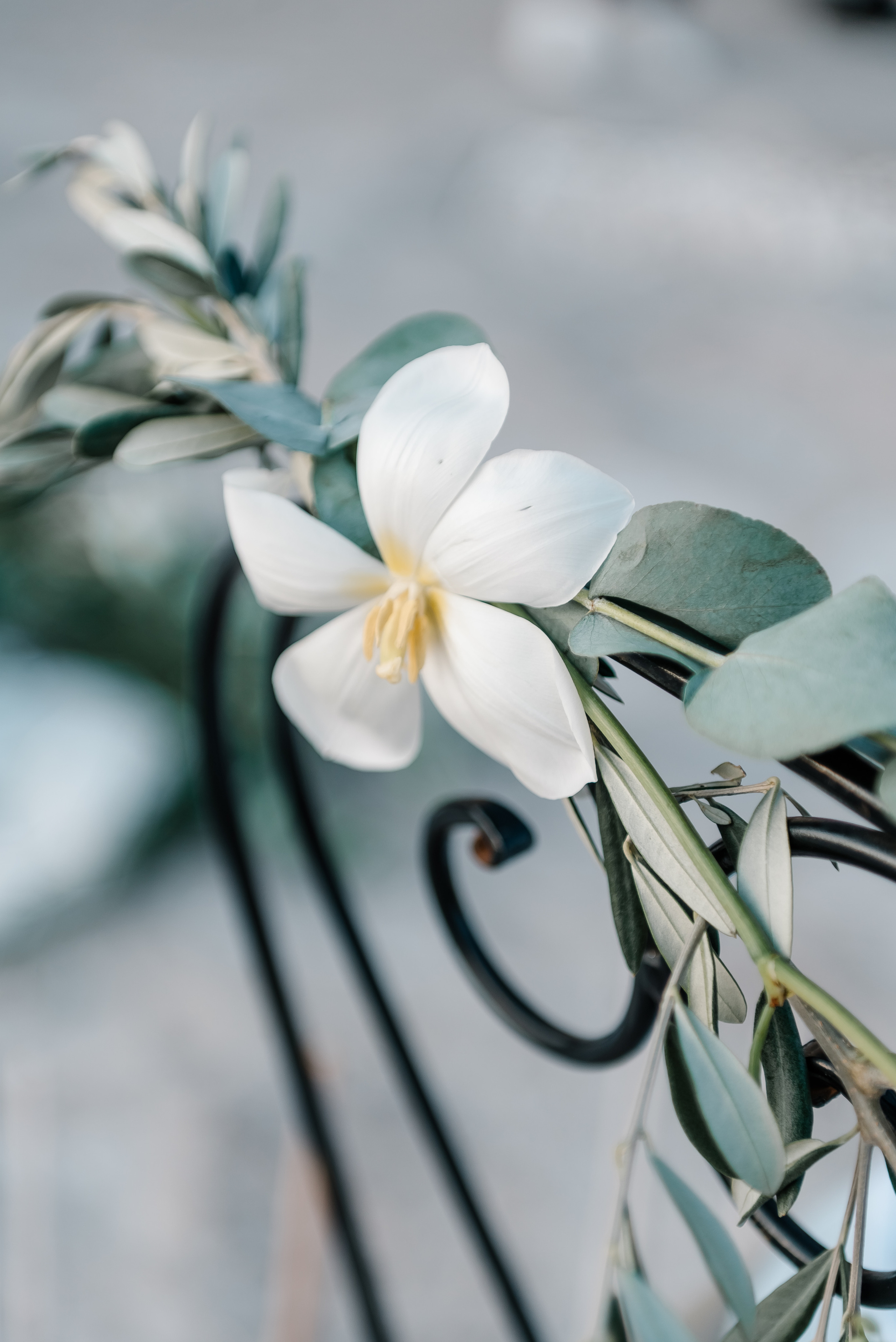 Італія. Сімейний та Весільний  фотограф Ірина Онищенко