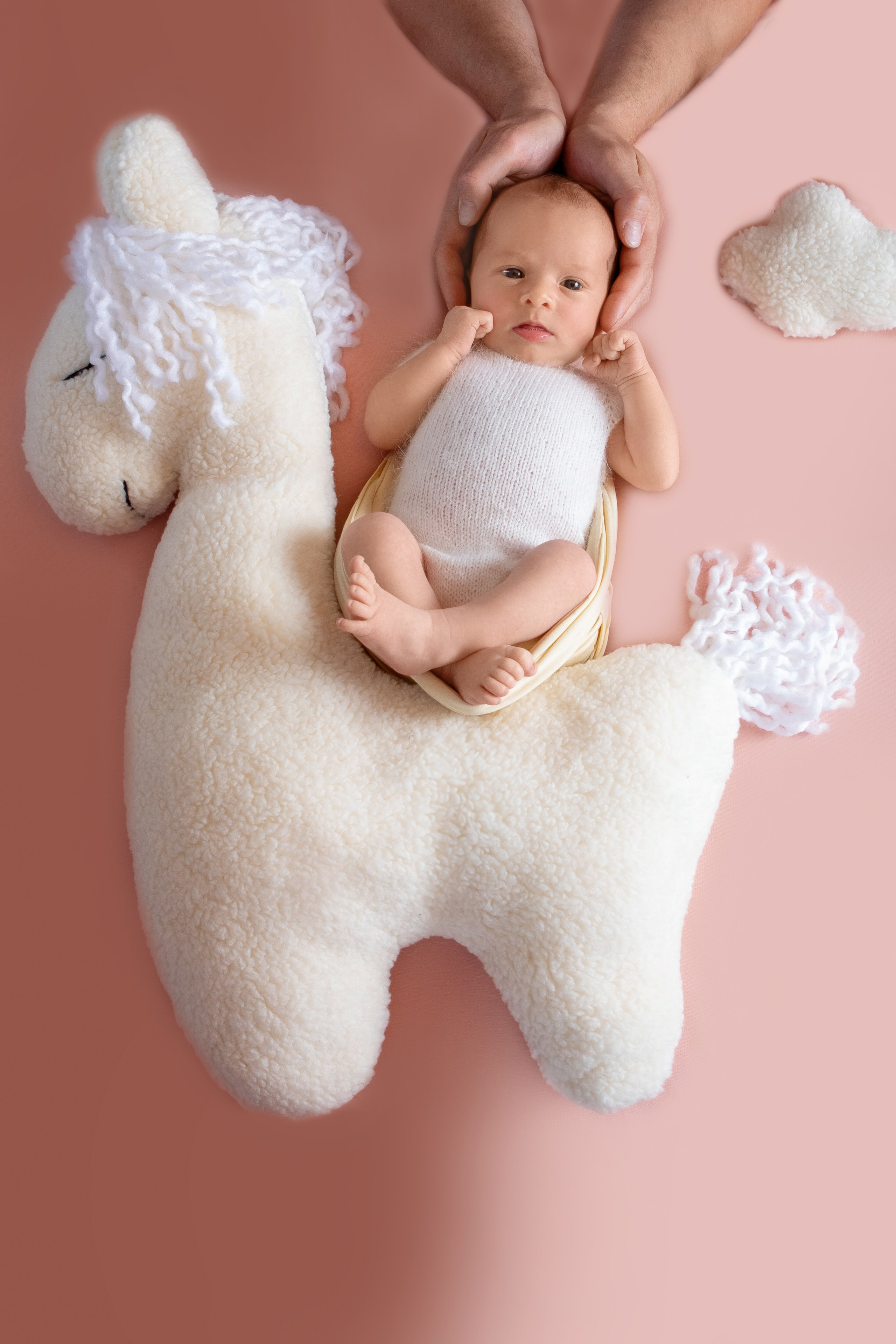 Олександра. Сімейний та Весільний  фотограф Ірина Онищенко