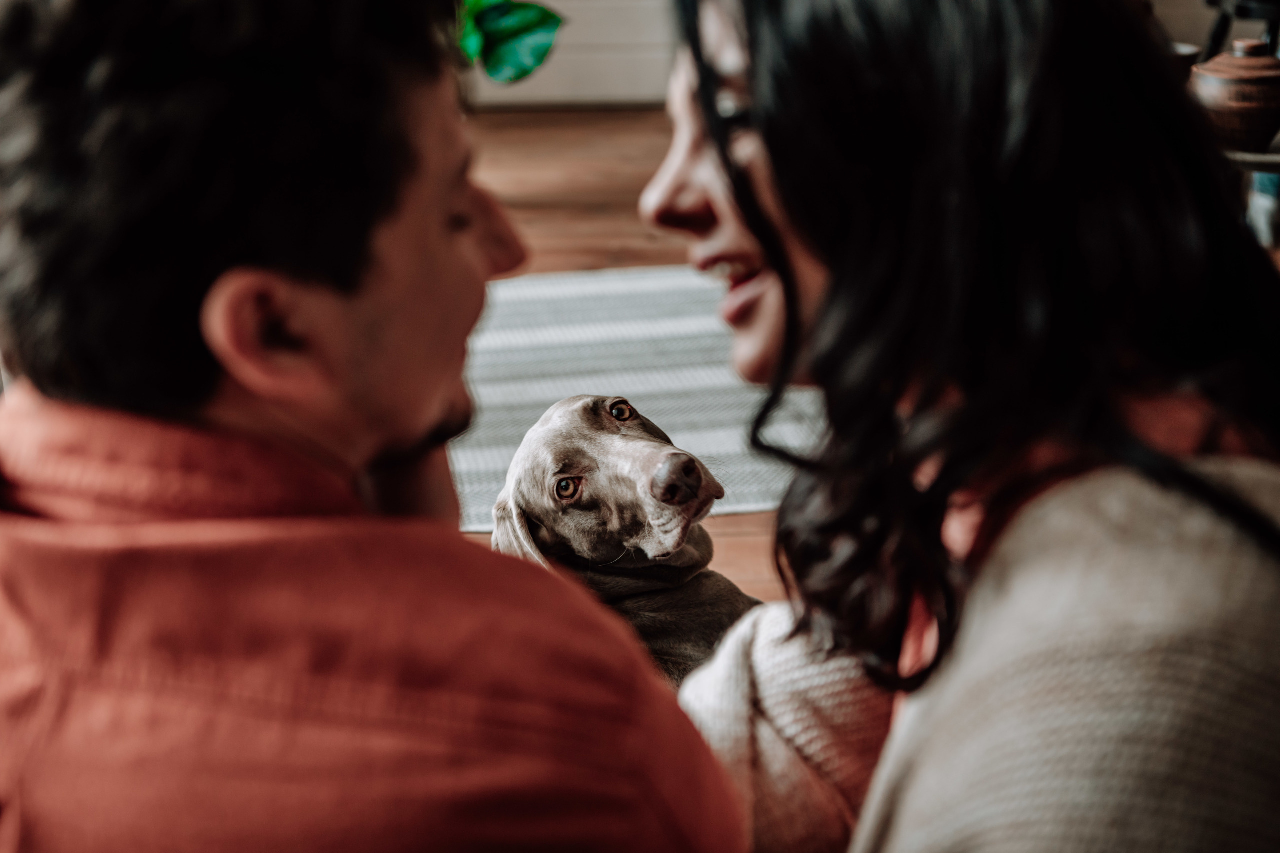 Эмоция. Сімейний та Весільний  фотограф Ірина Онищенко