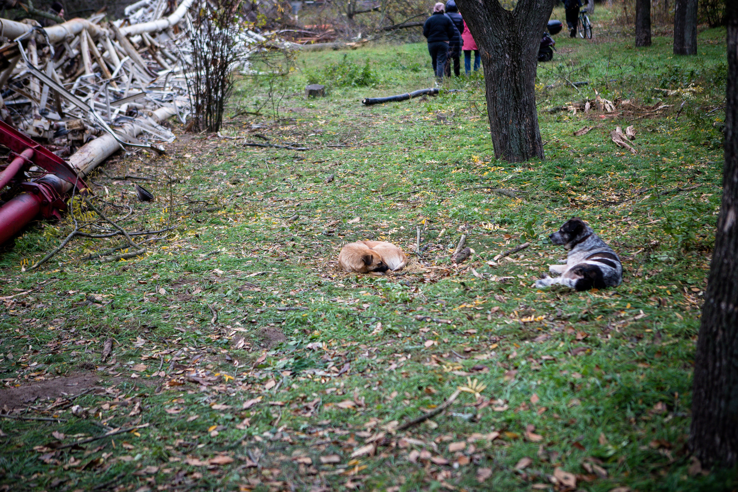 Мій рідний Херсон. Сімейний та Весільний  фотограф Ірина Онищенко